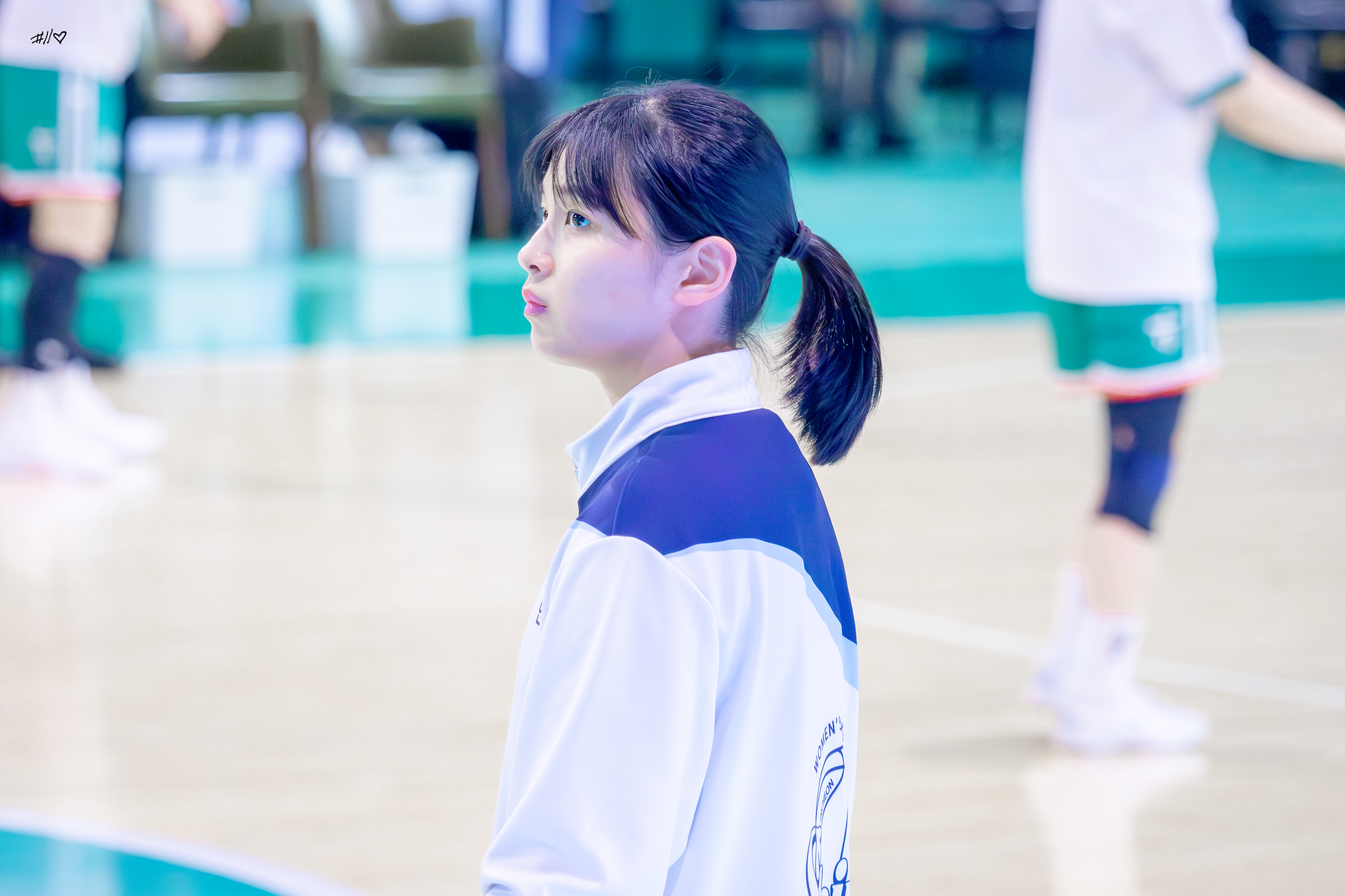 사진