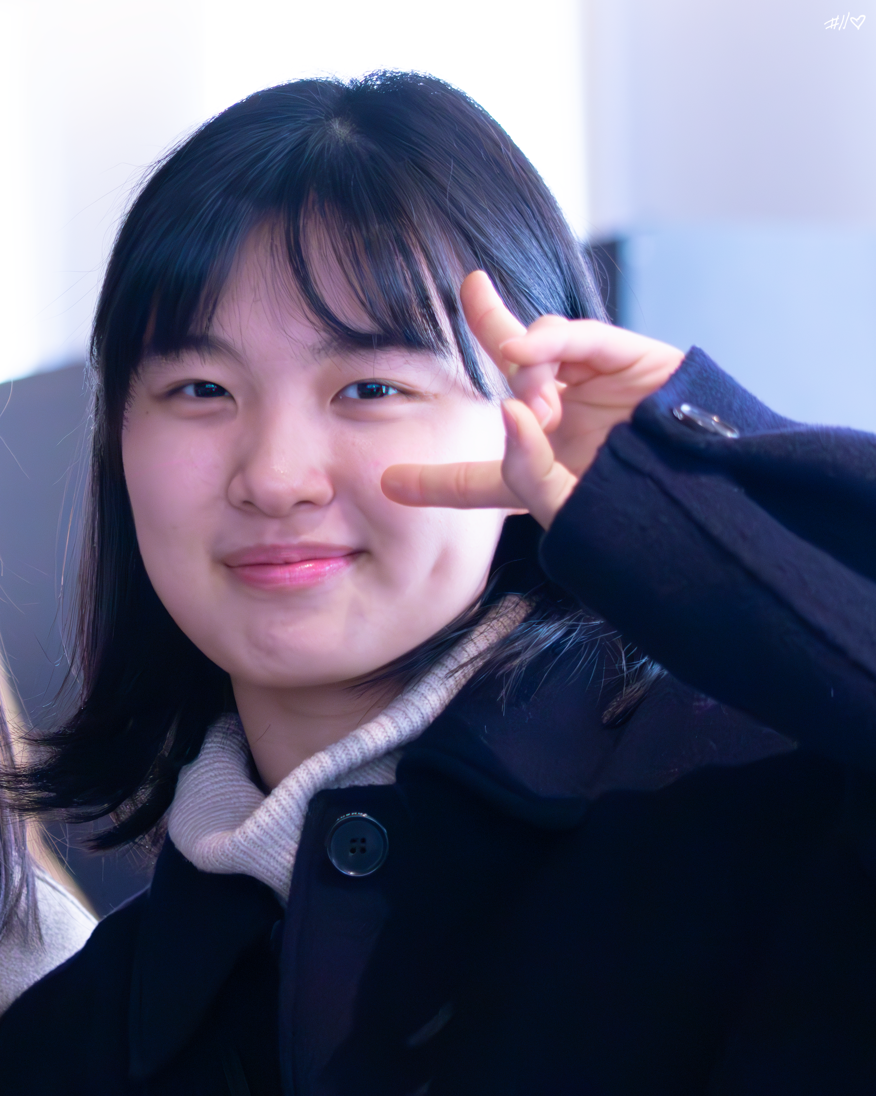 사진