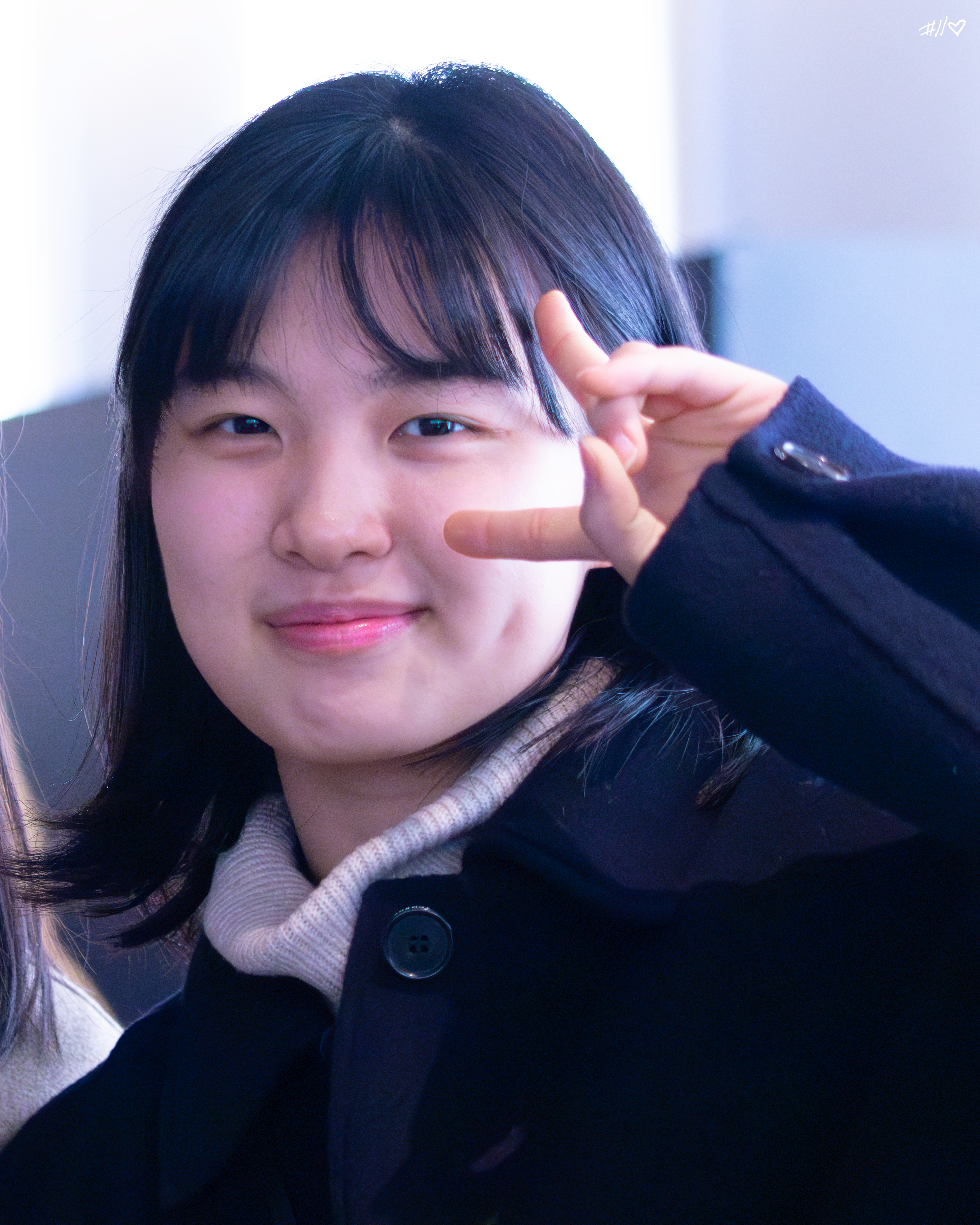 사진