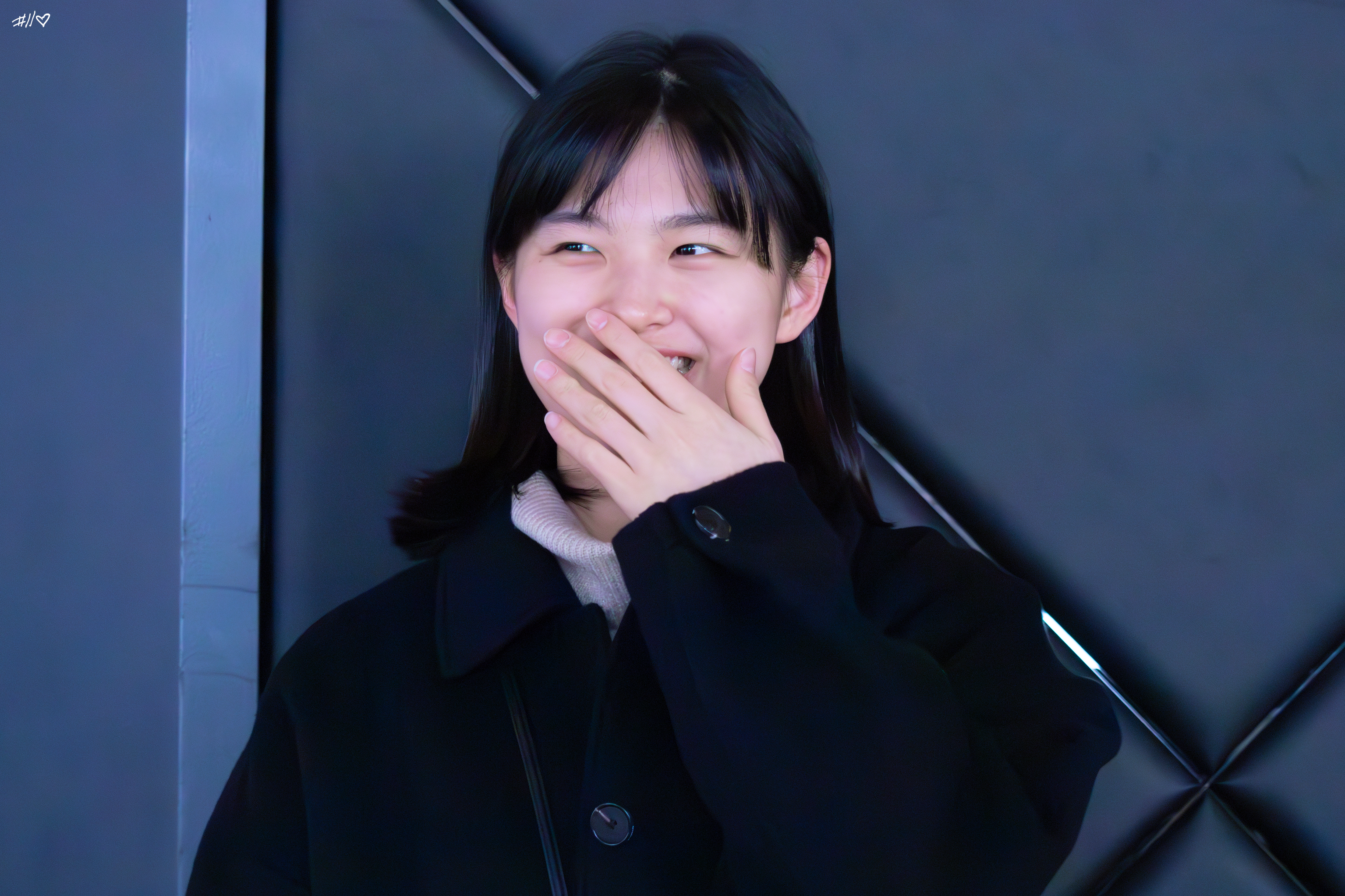 사진