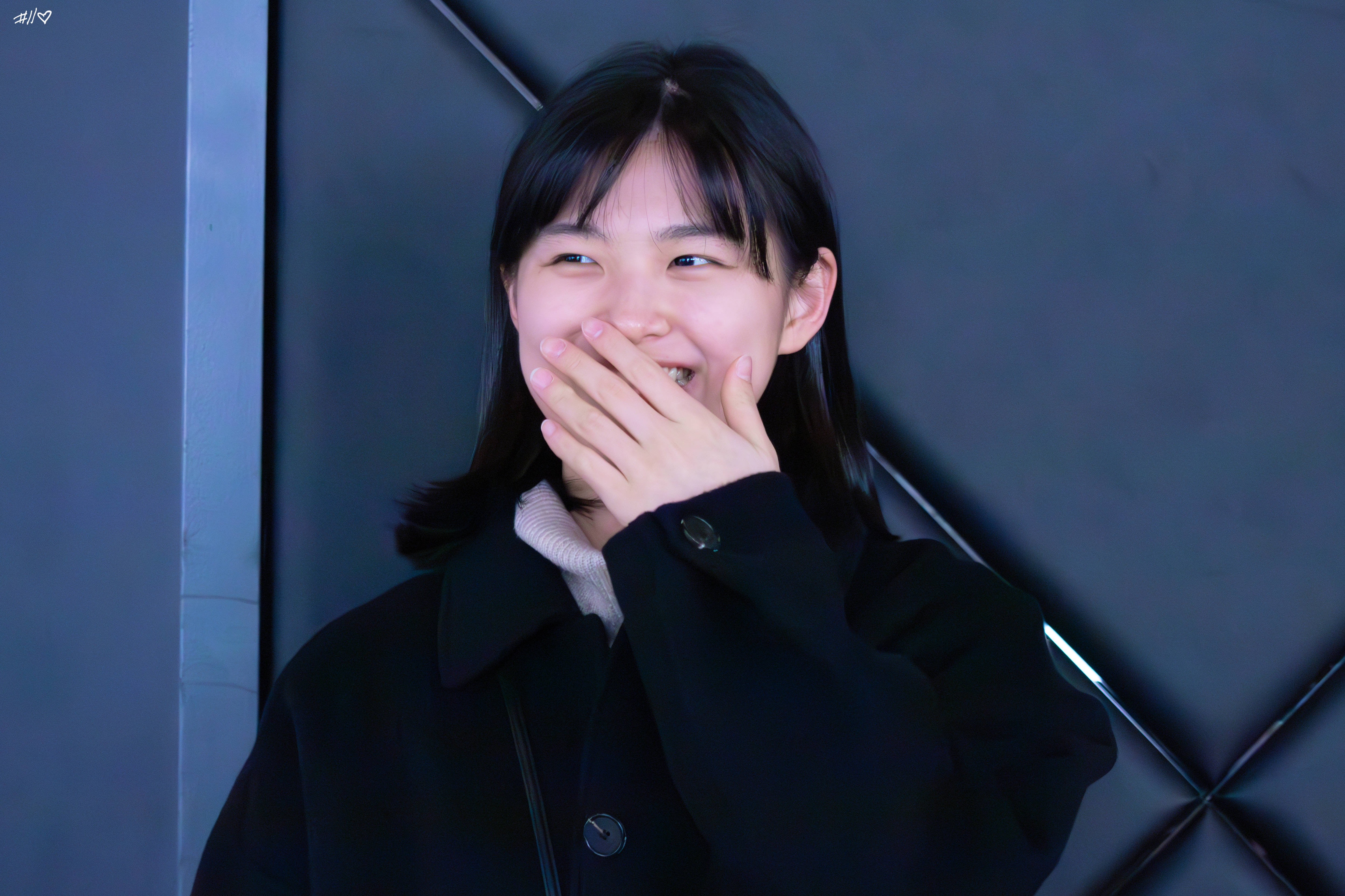 사진
