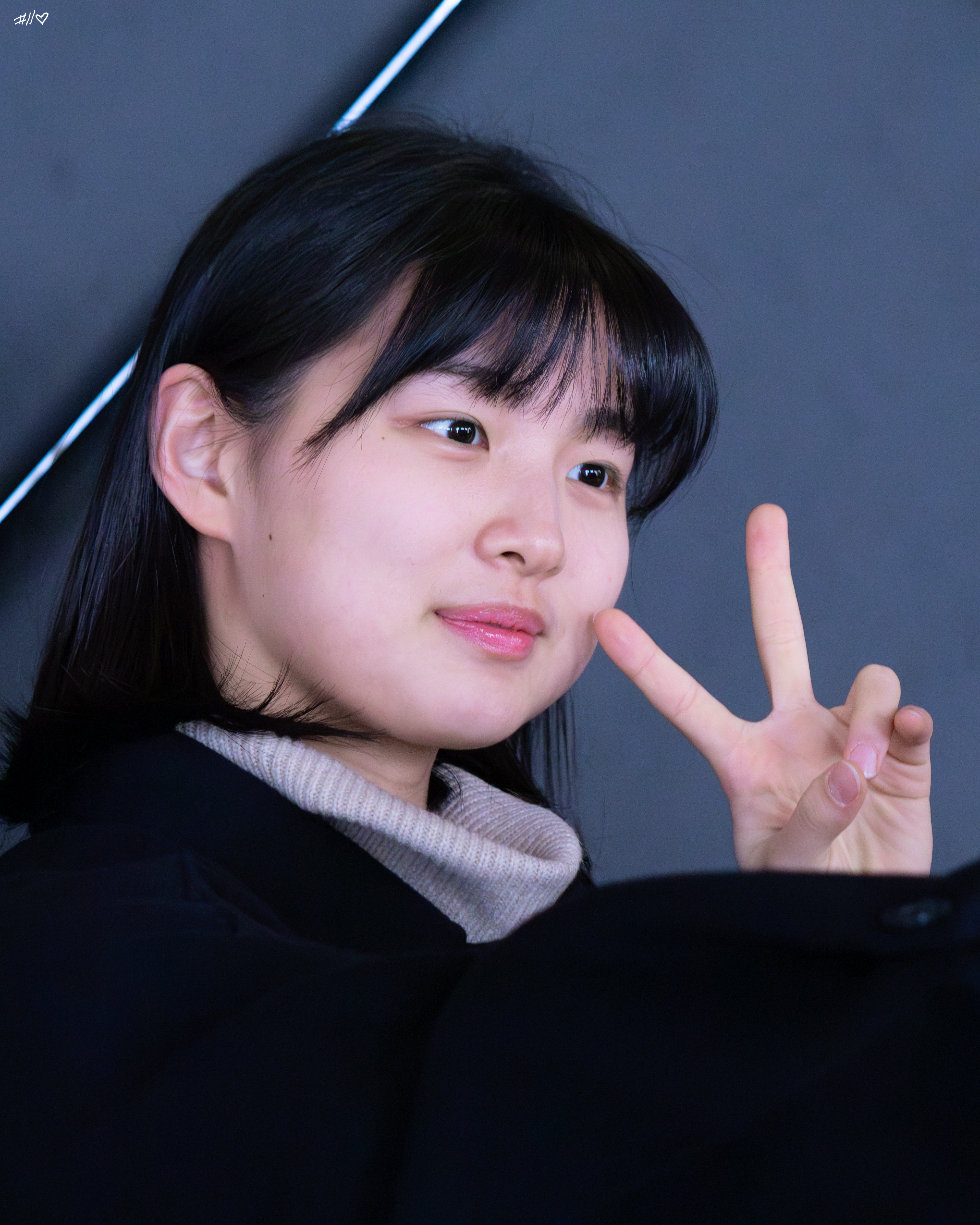 사진