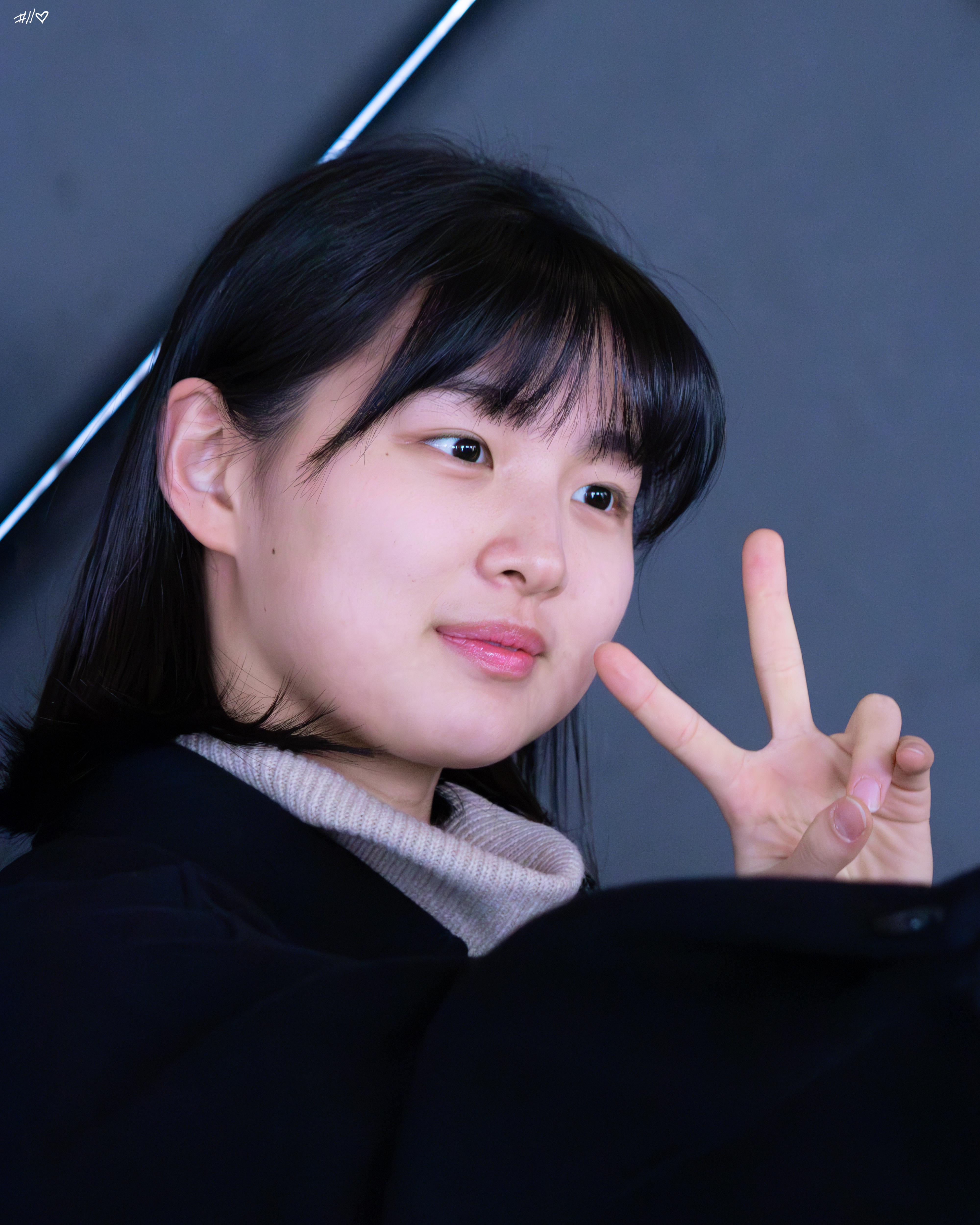 사진