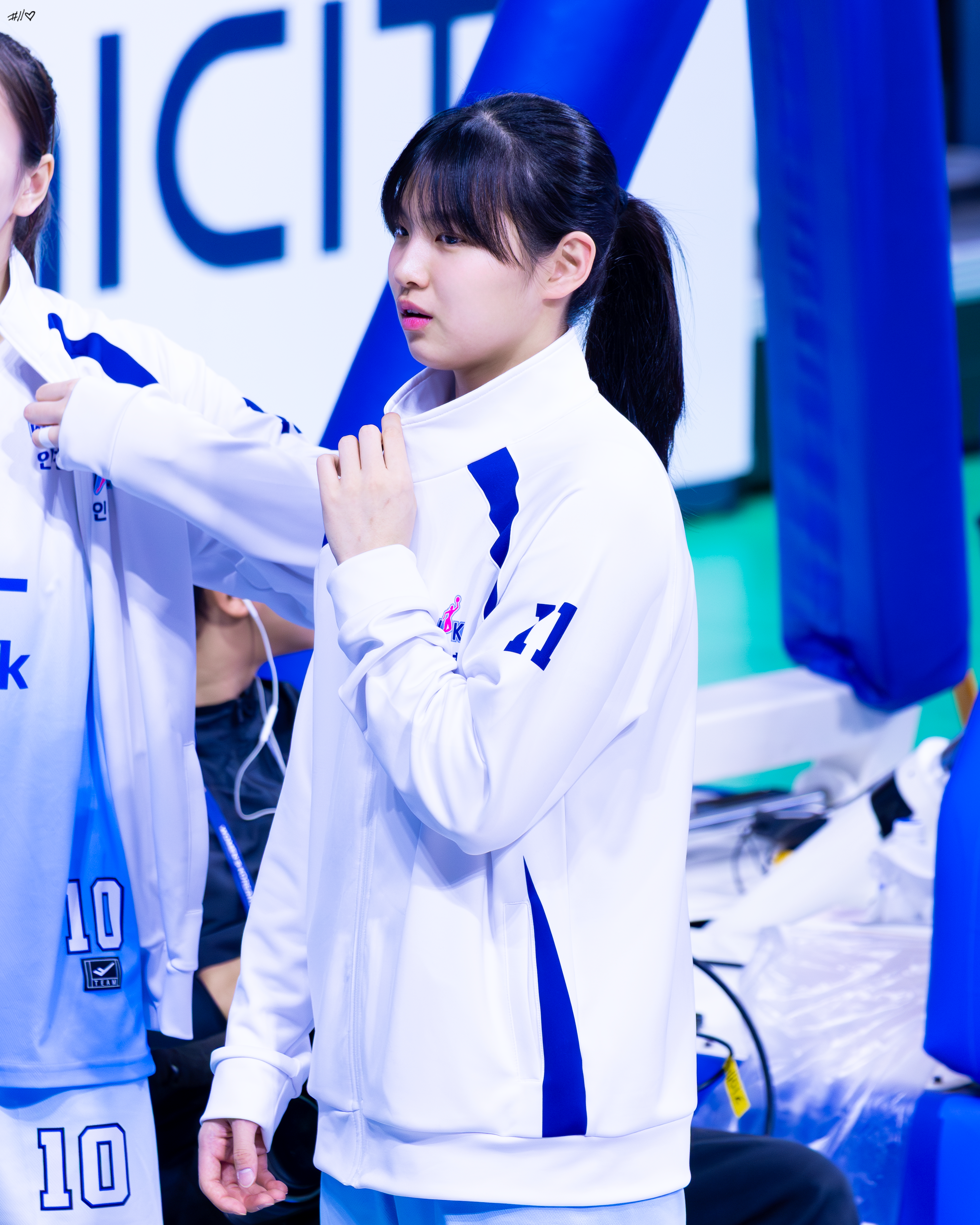 사진