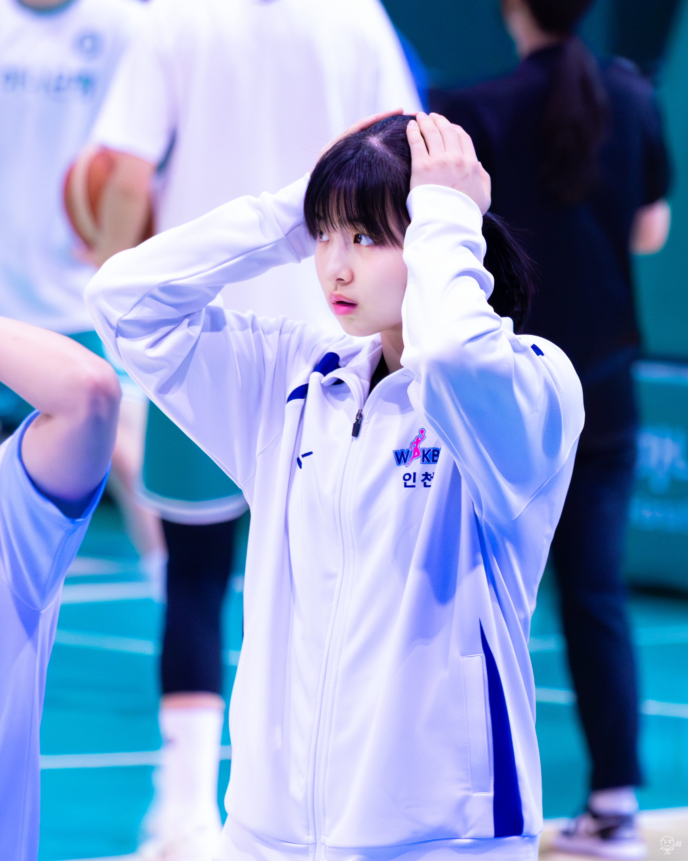 사진