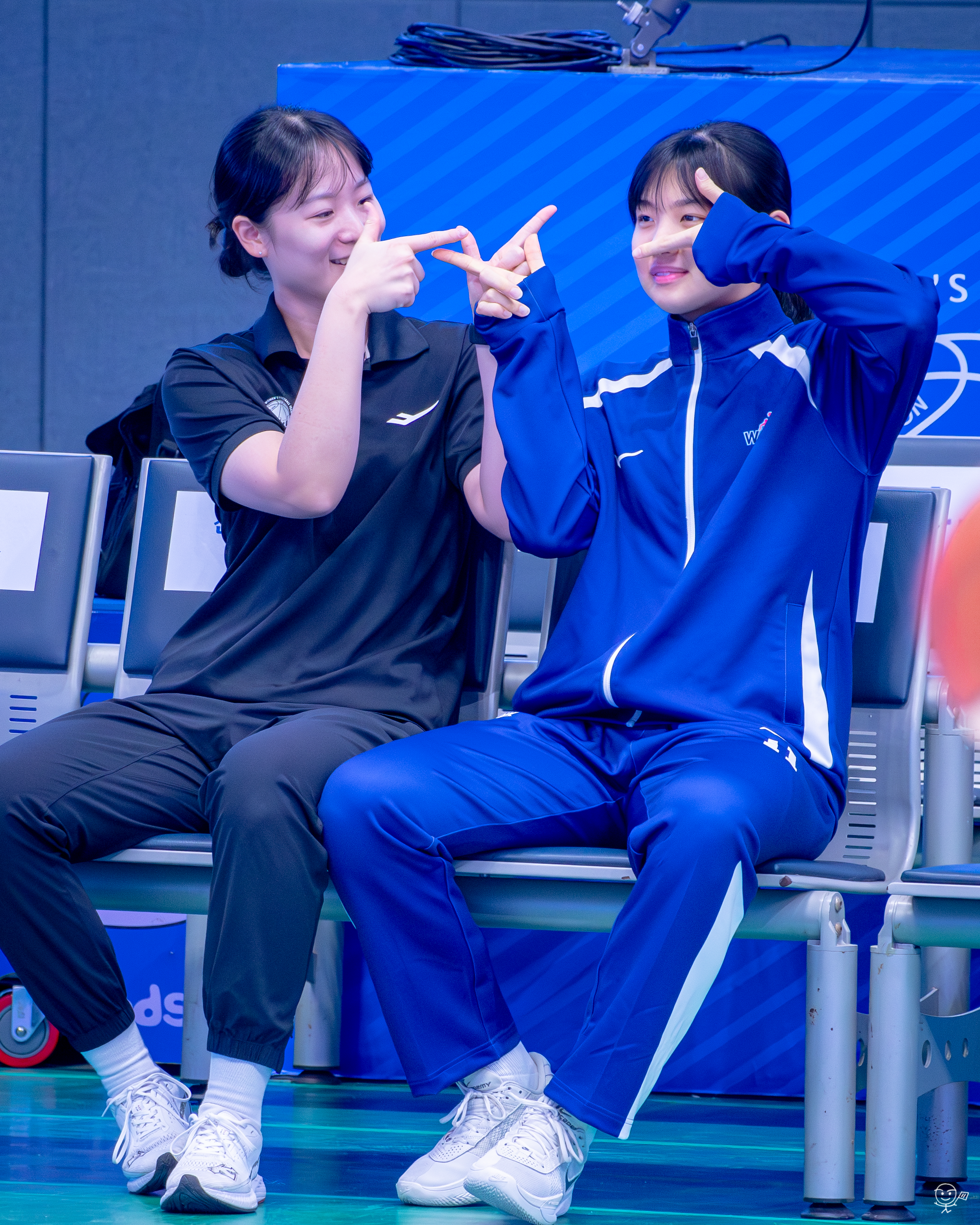 사진