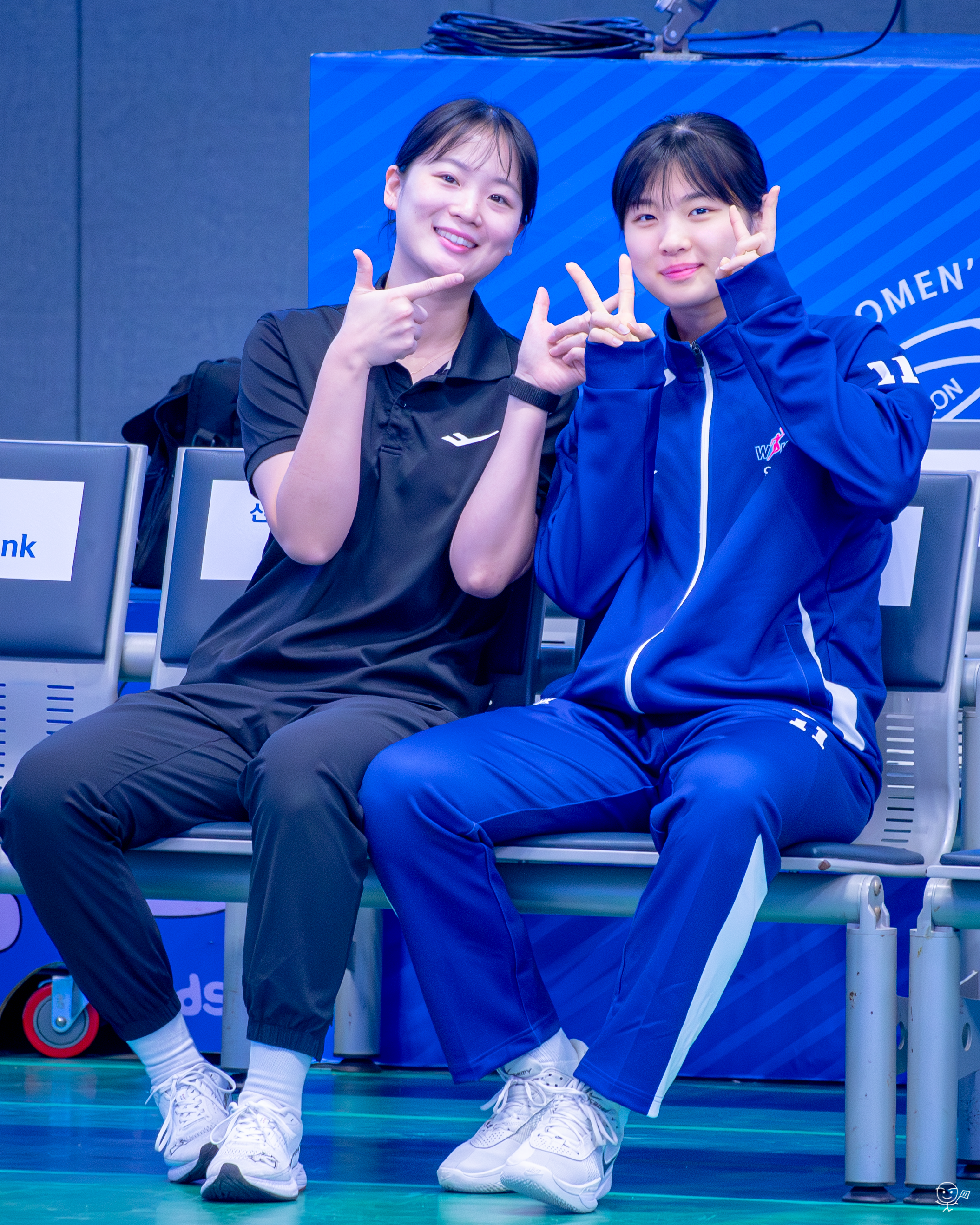 사진