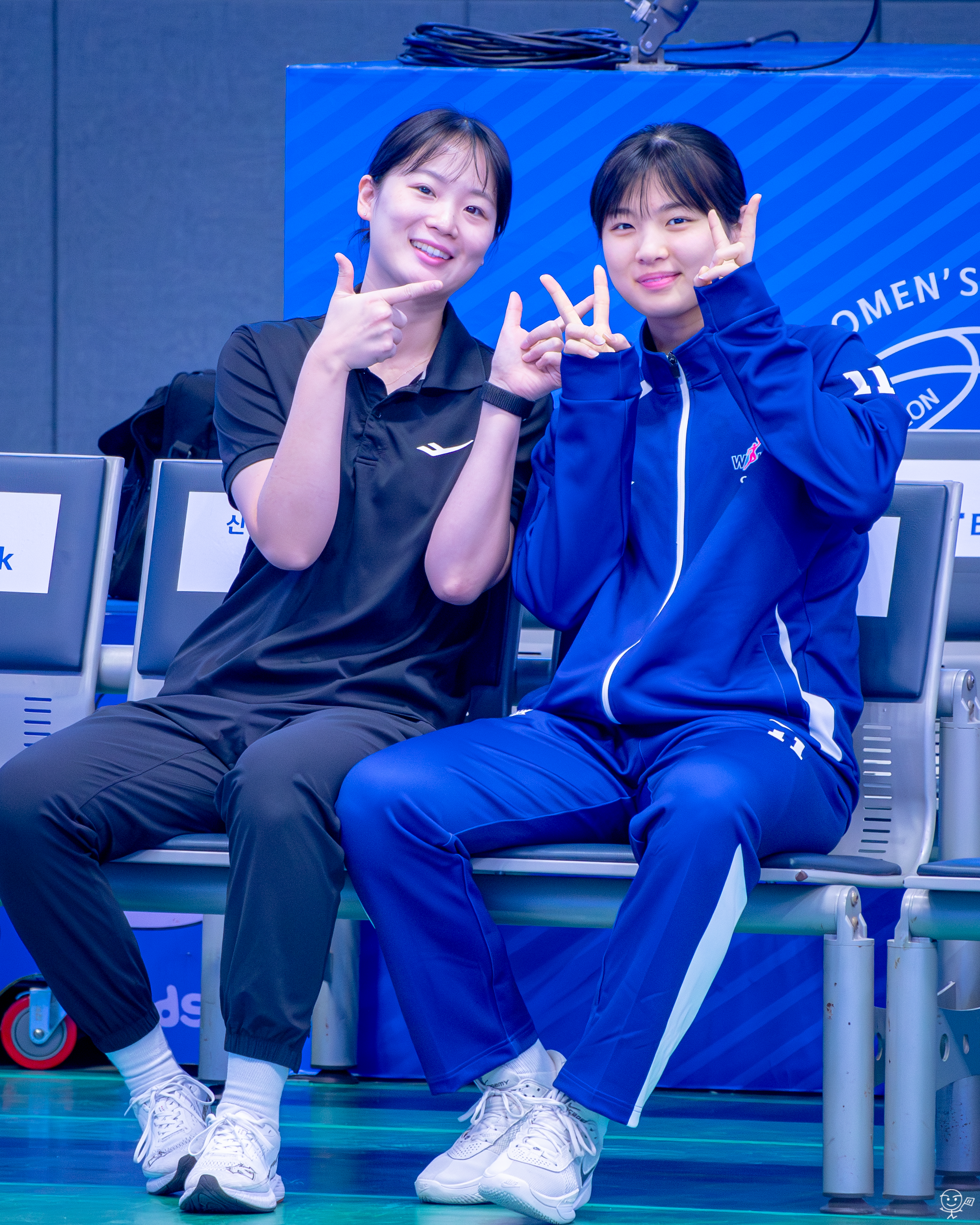 사진