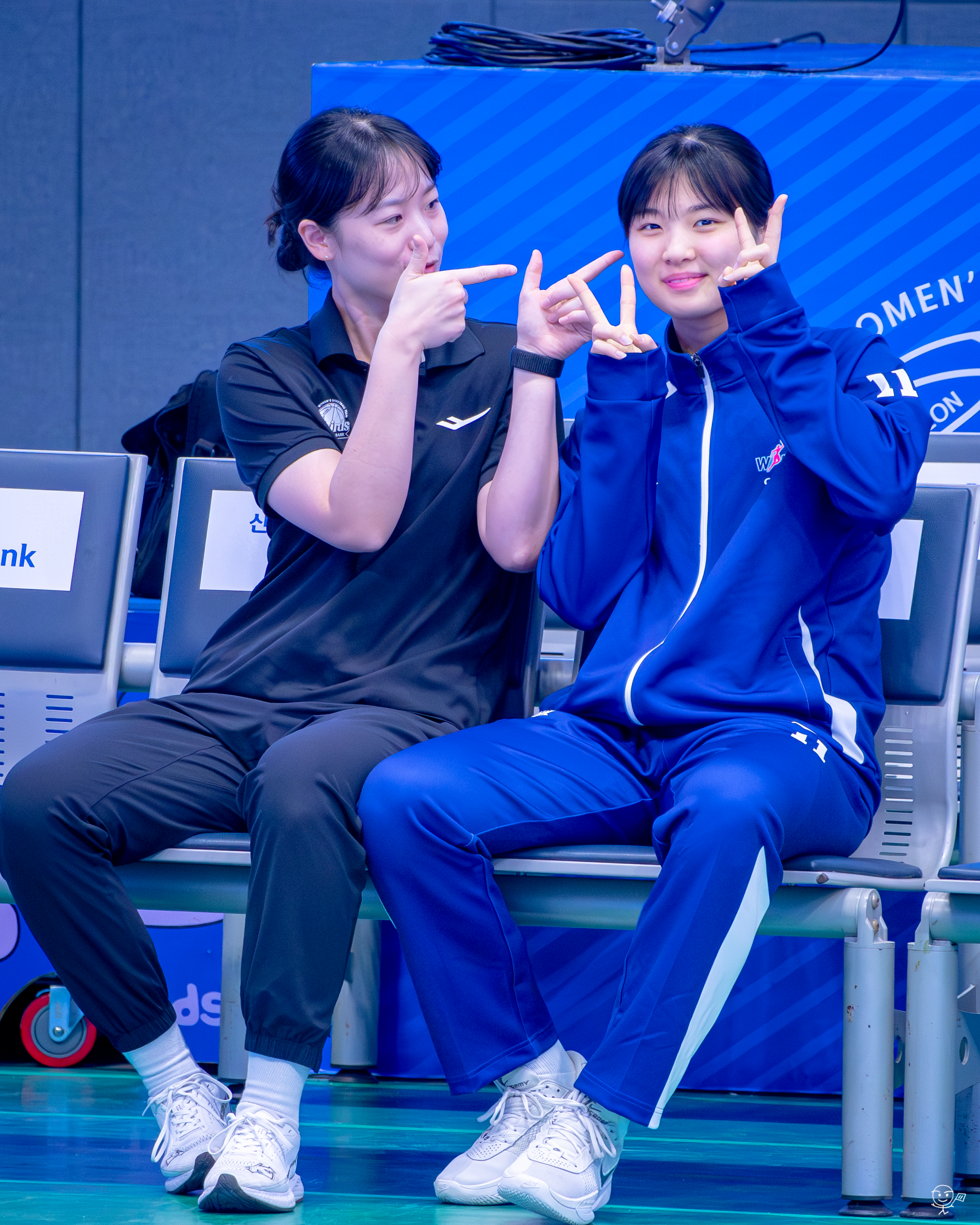 사진