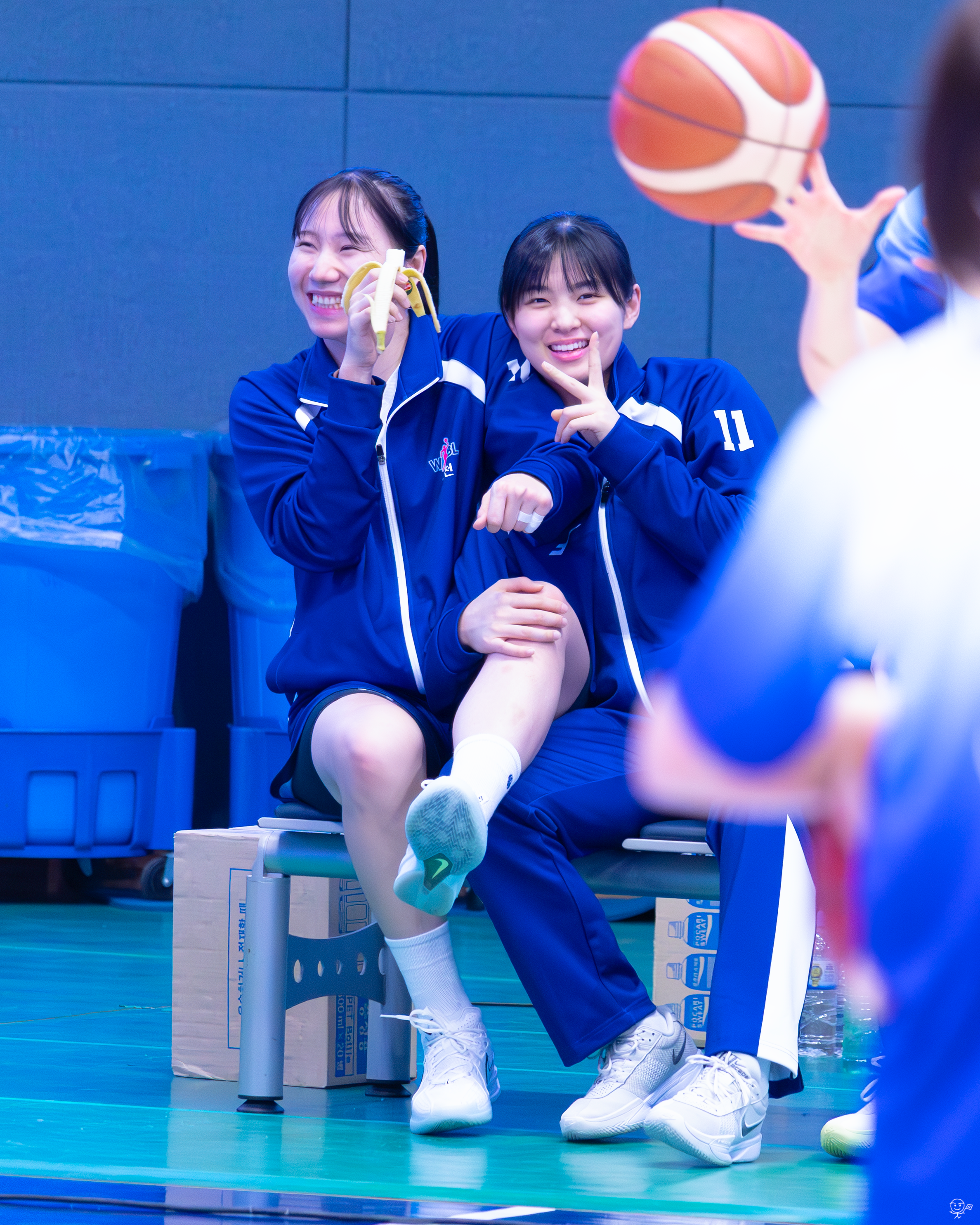 사진