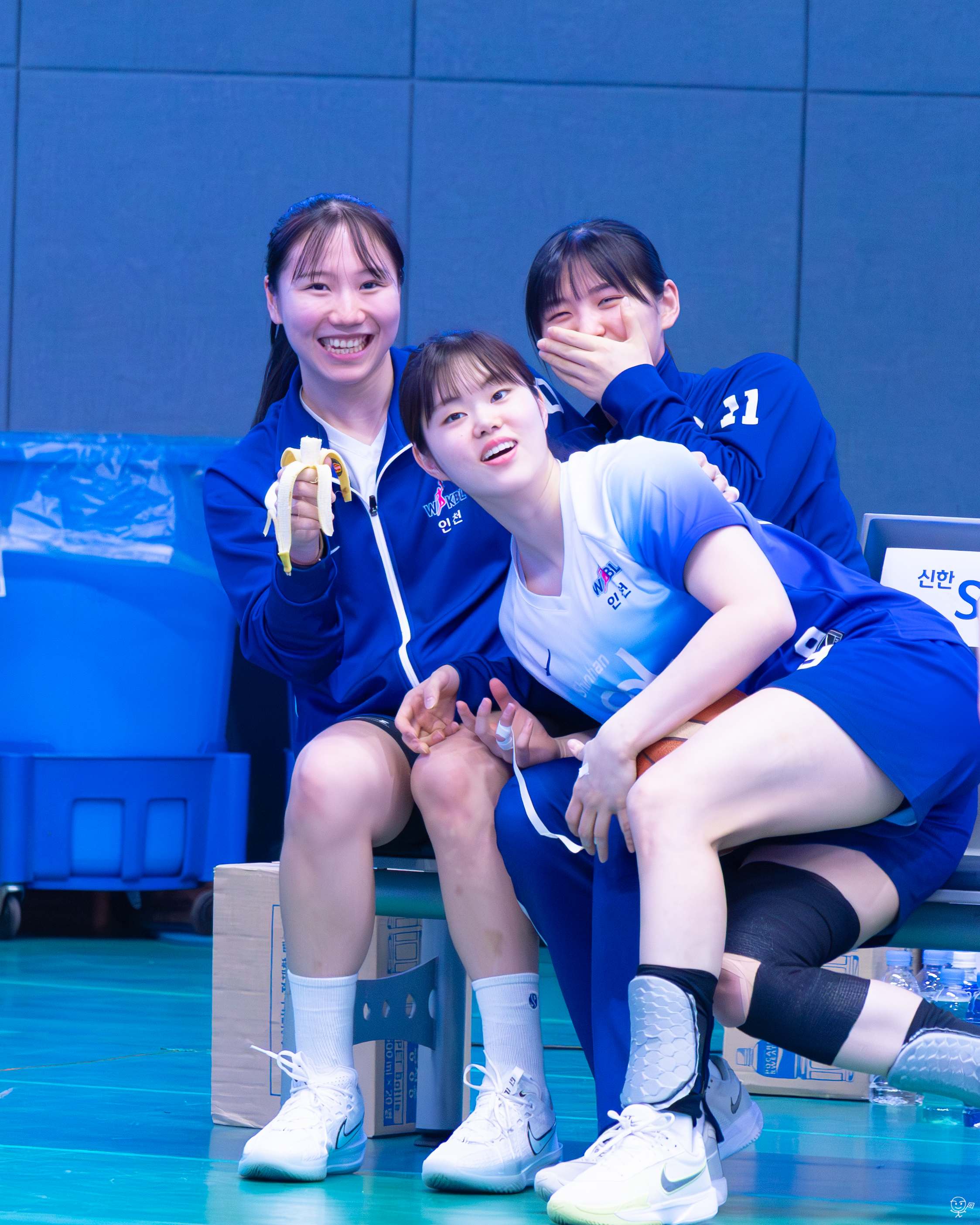 사진