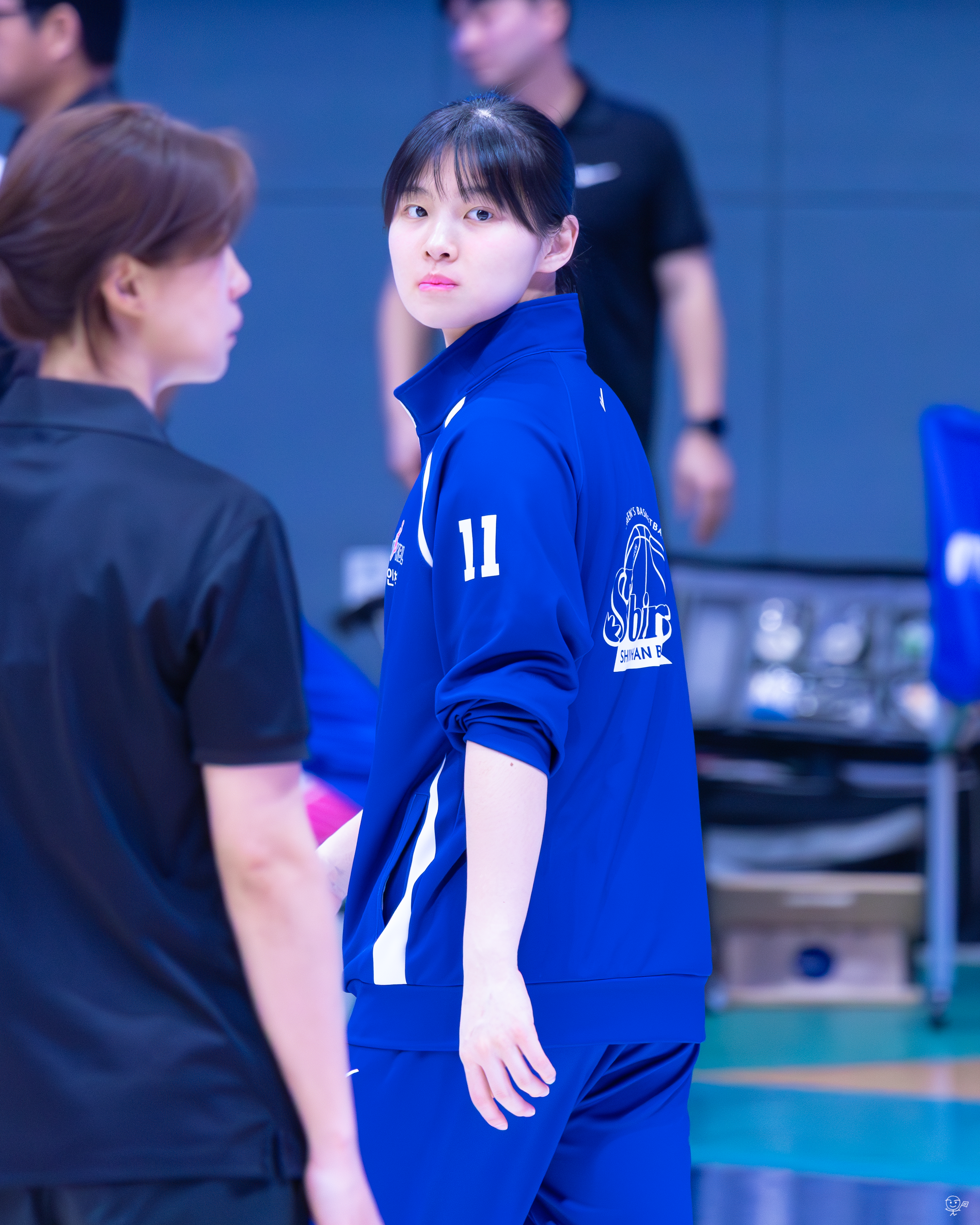 사진
