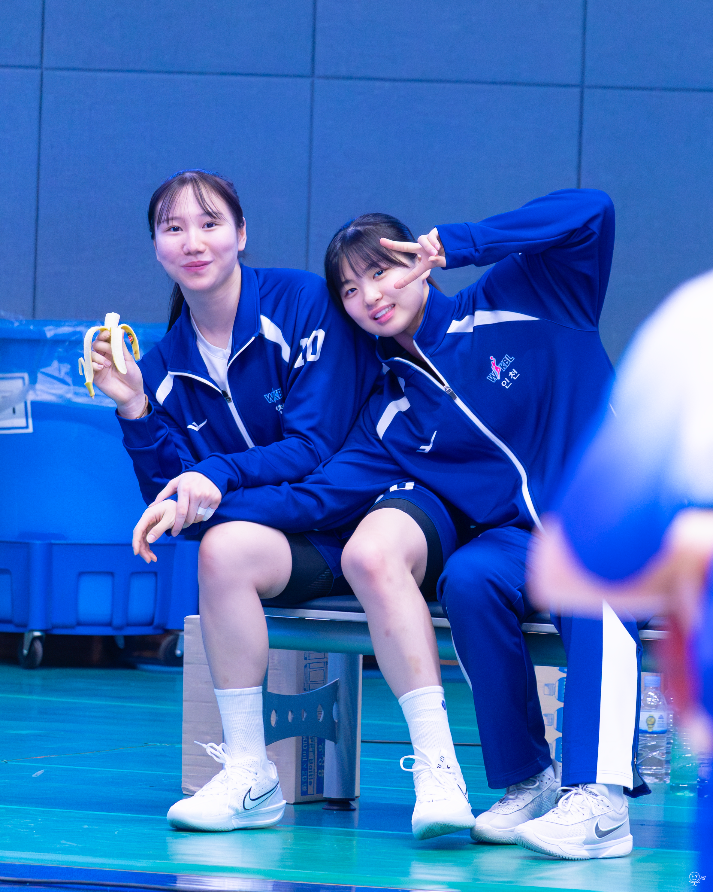 사진