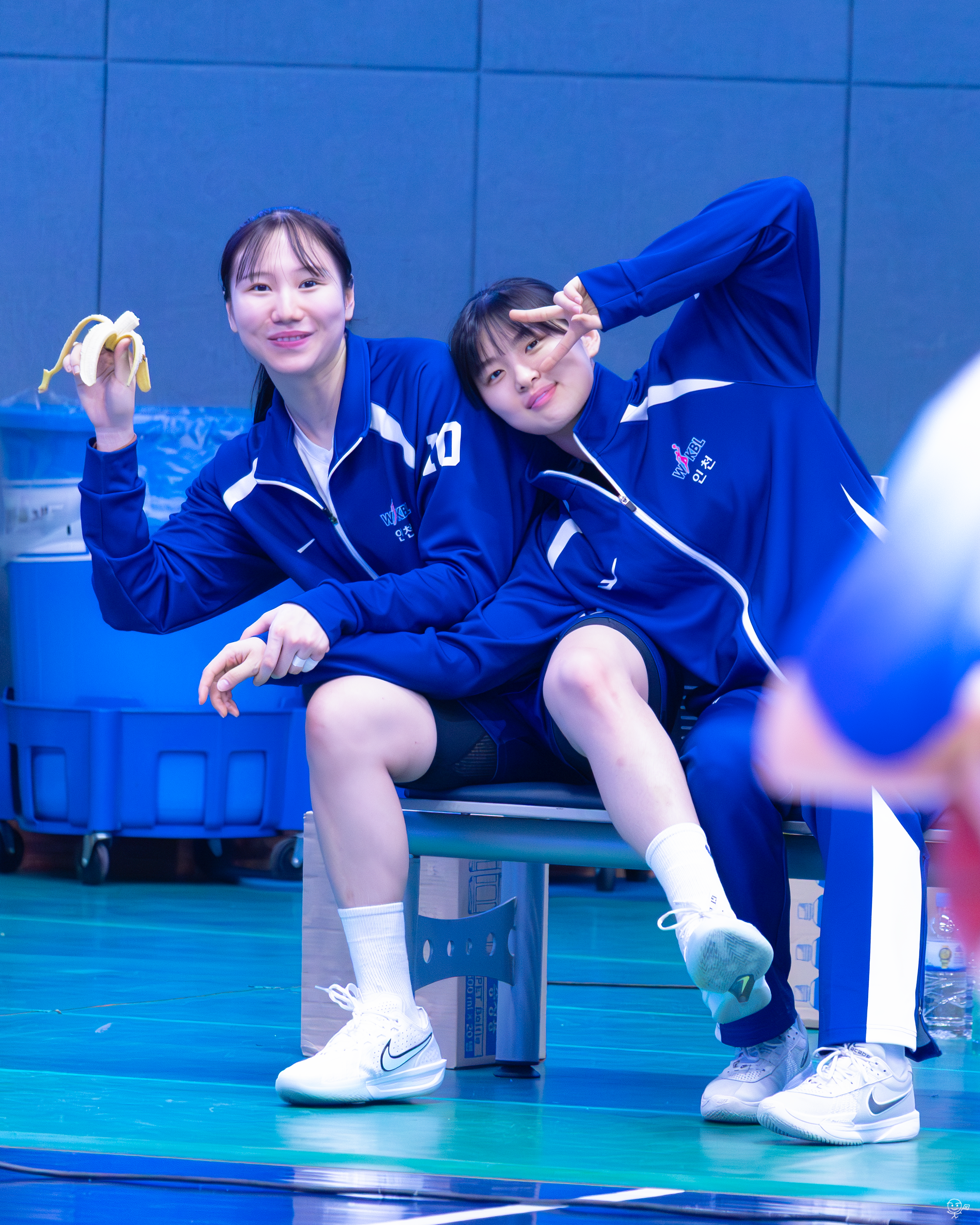 사진