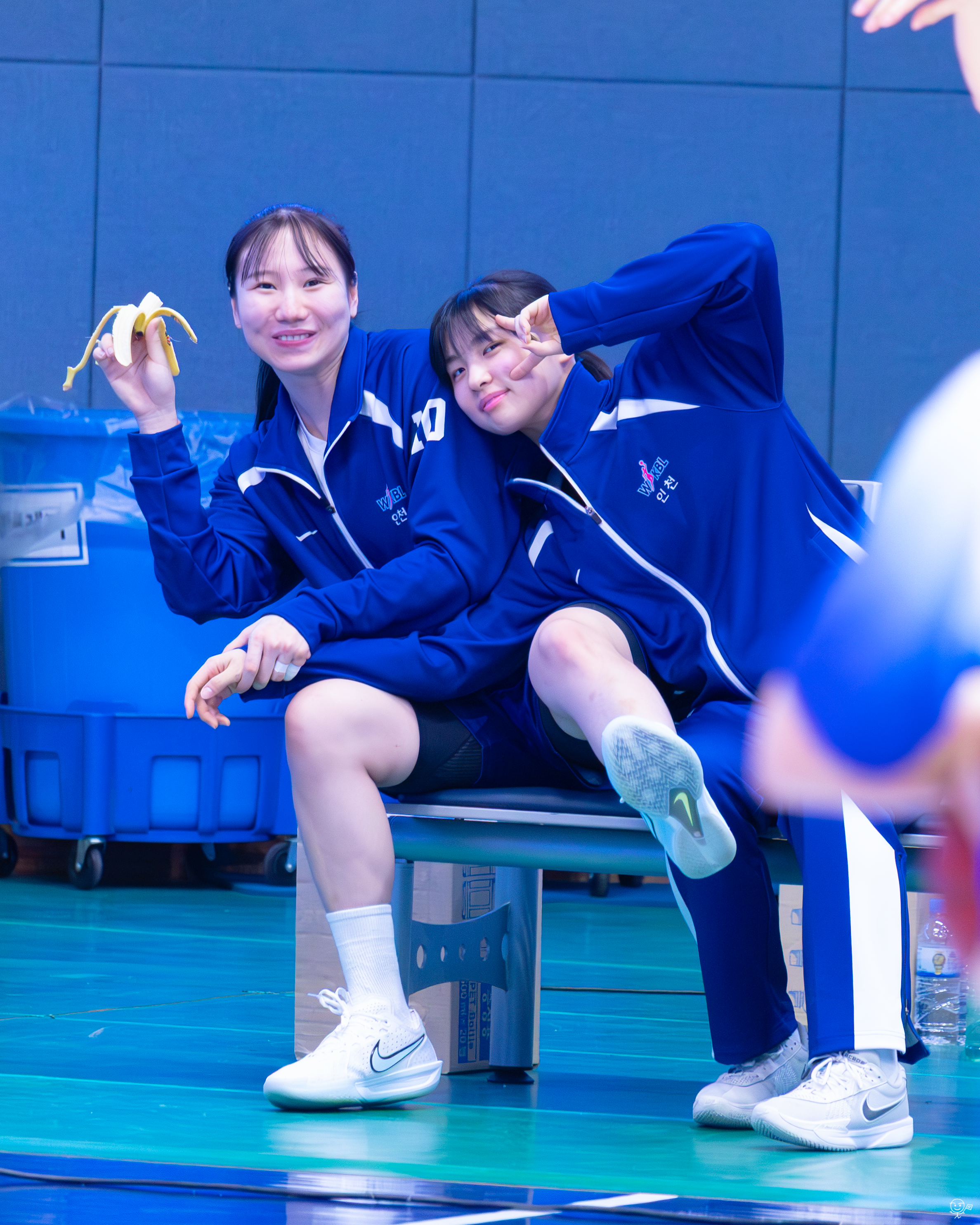 사진