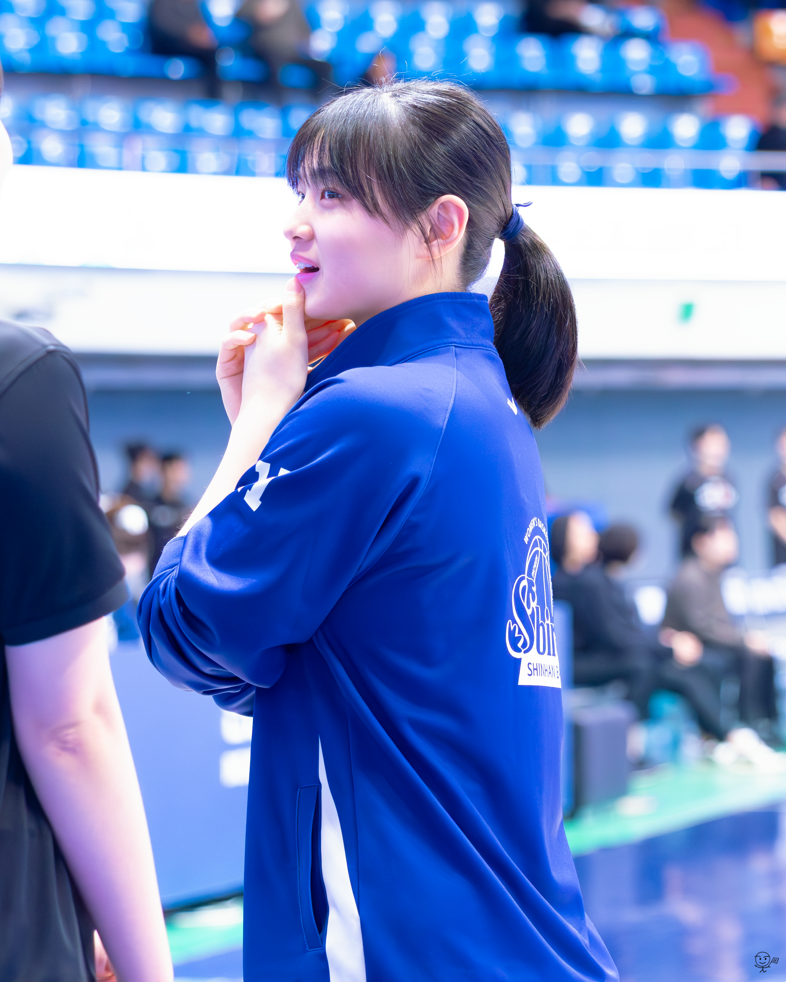 사진