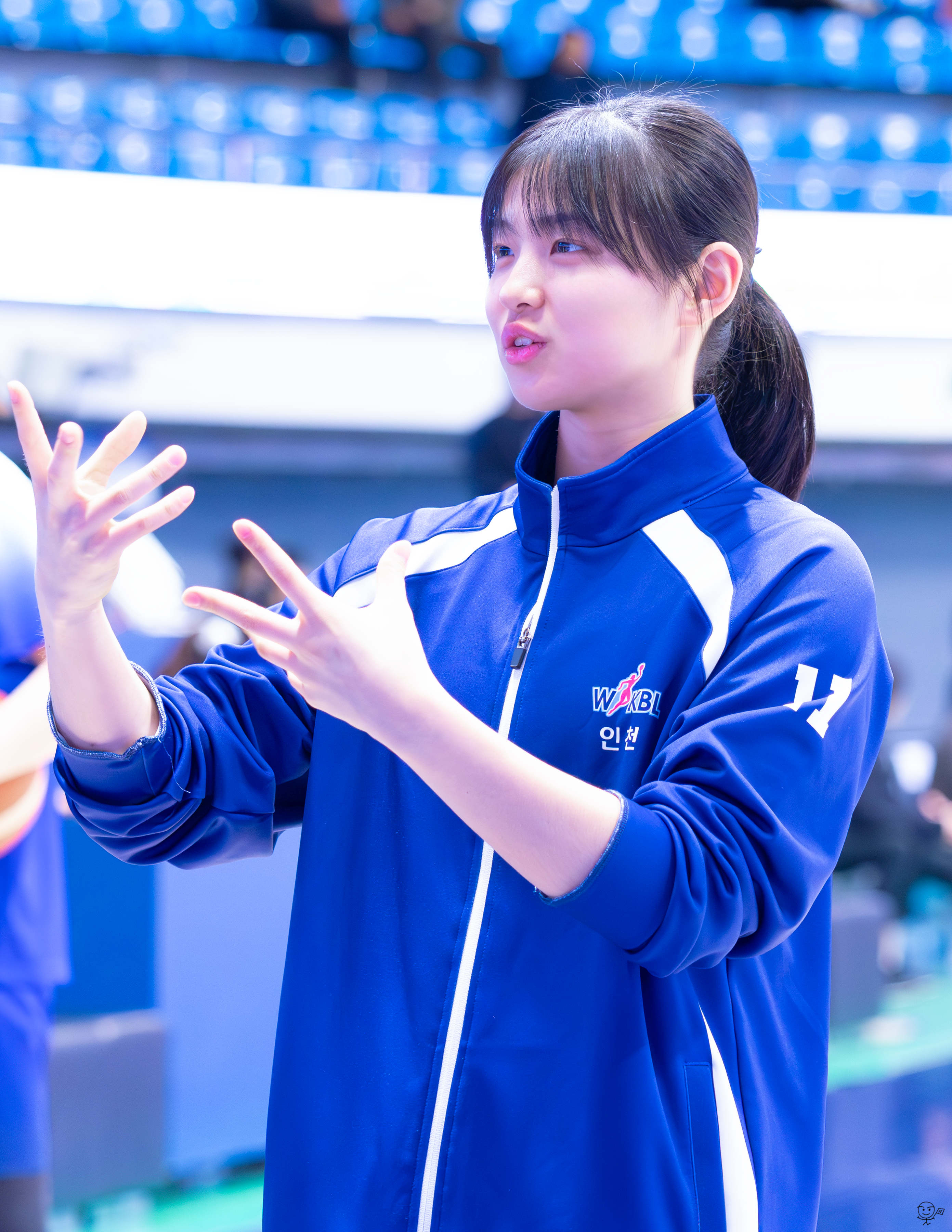 사진