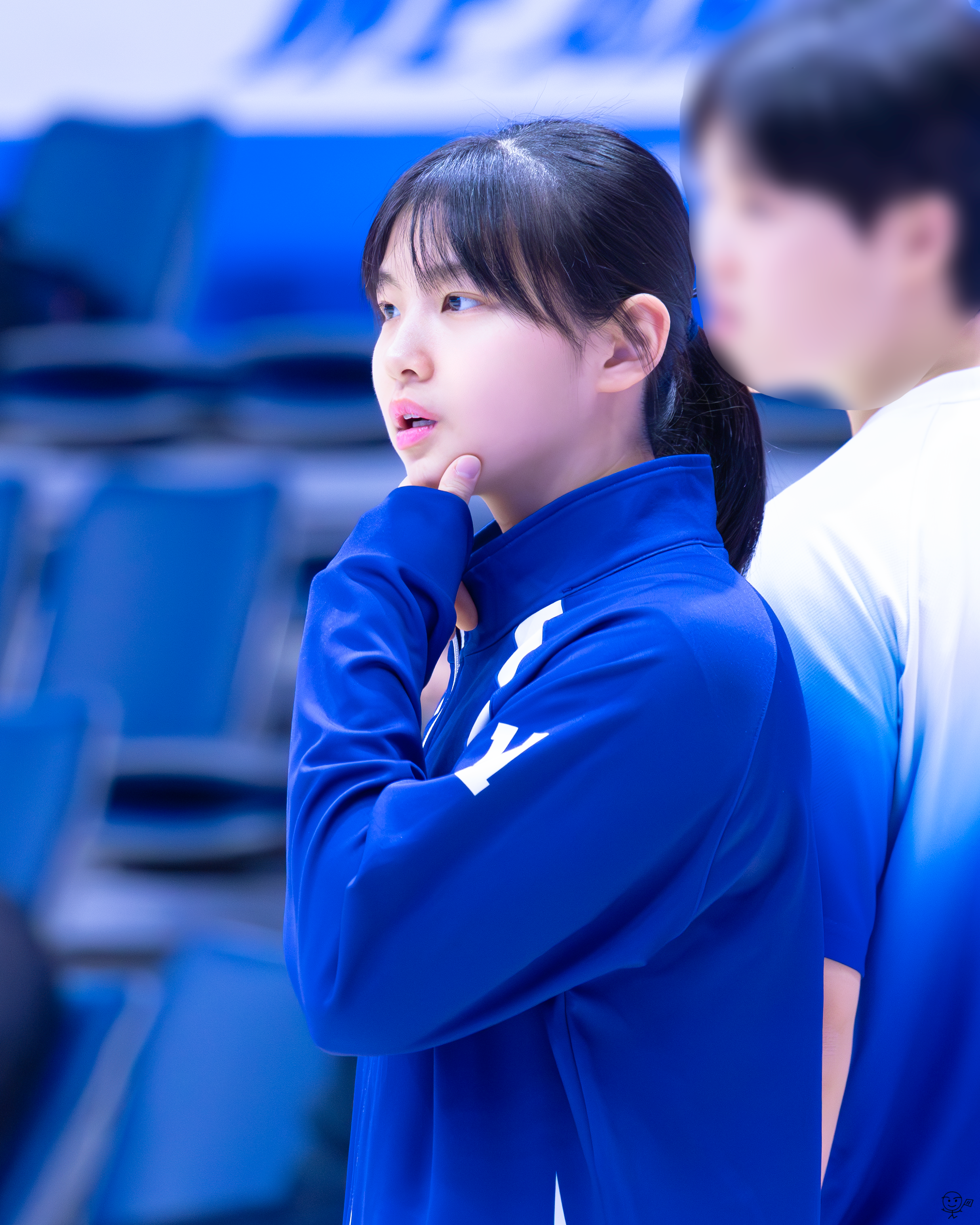 사진