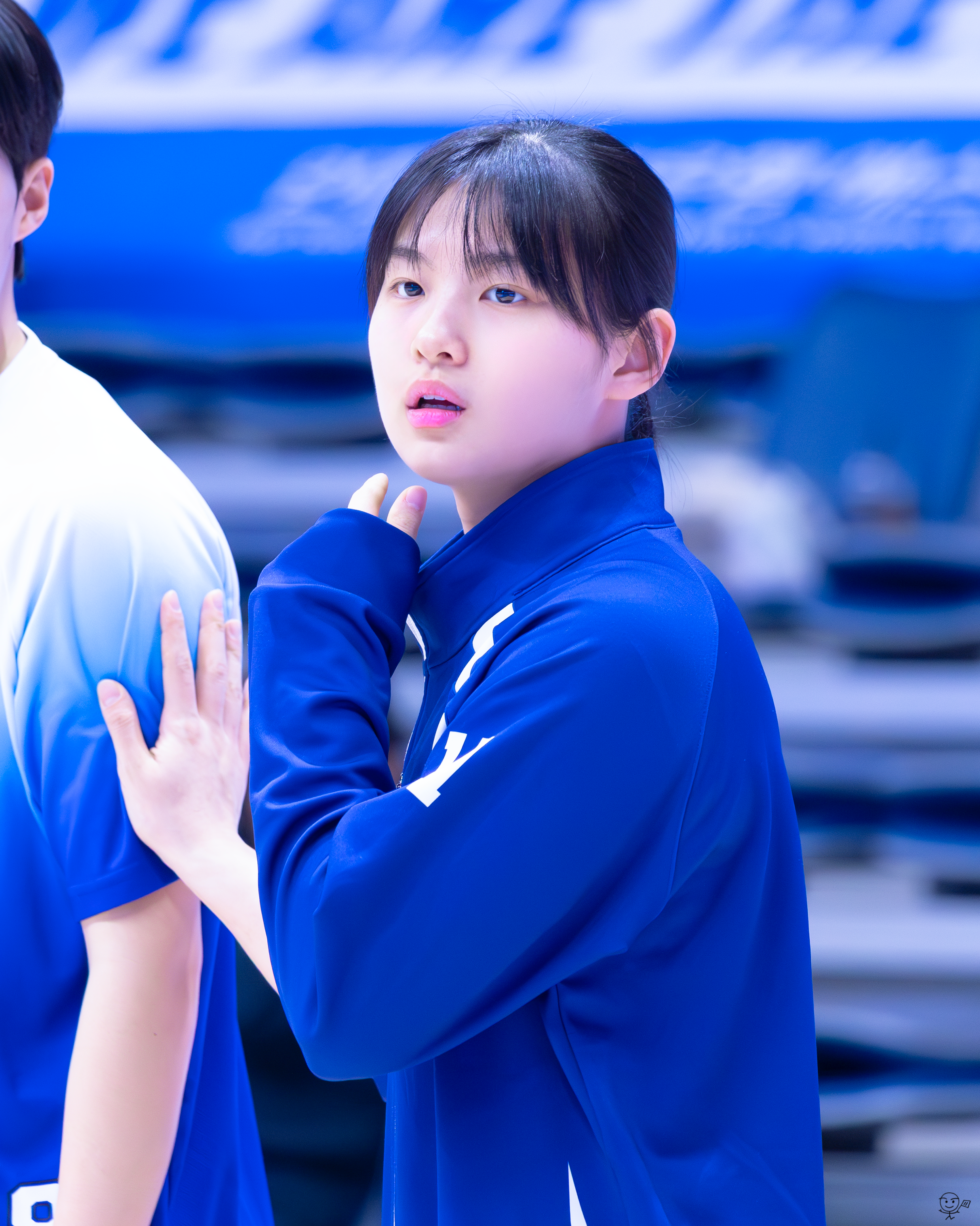 사진
