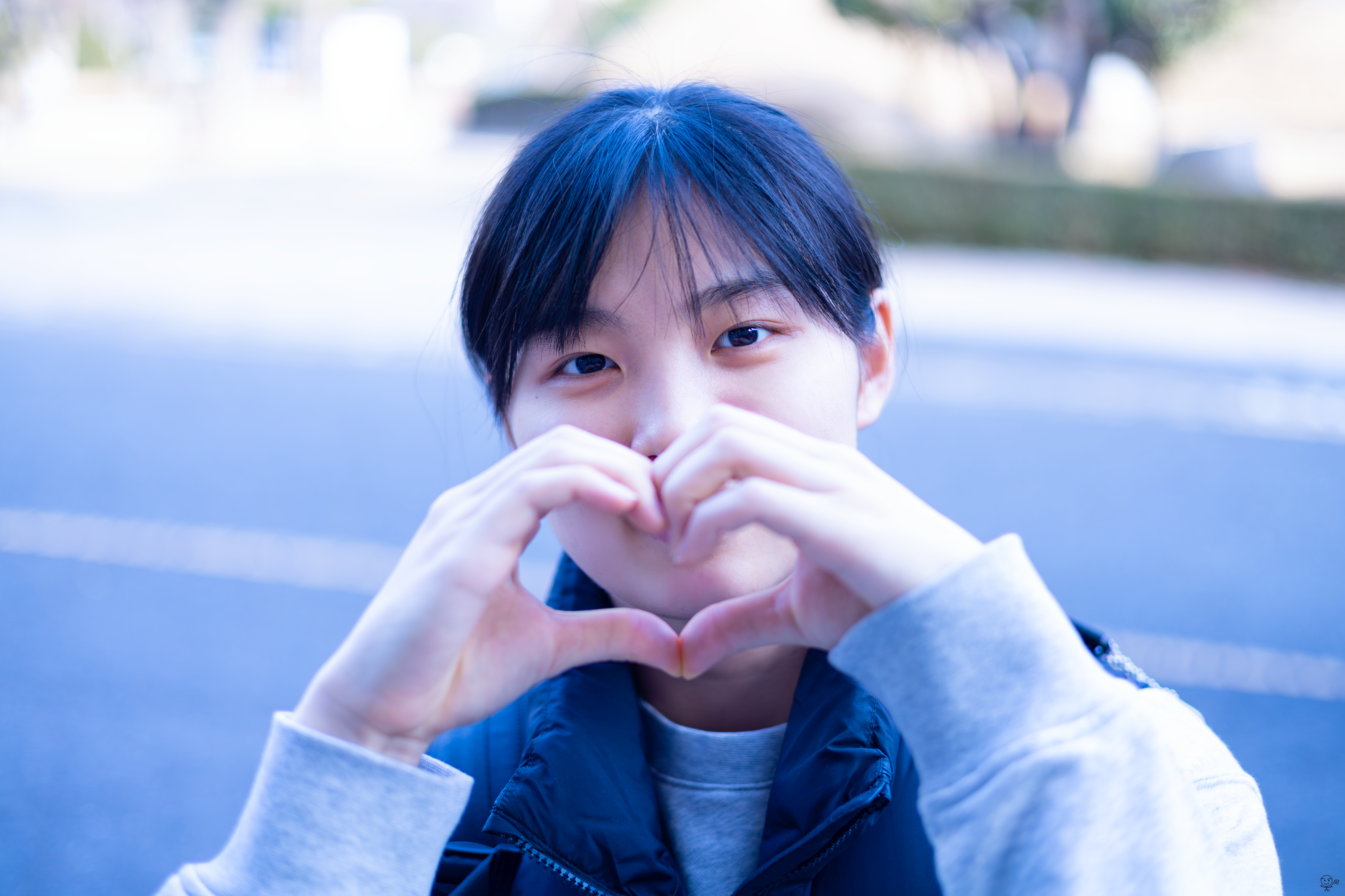 사진