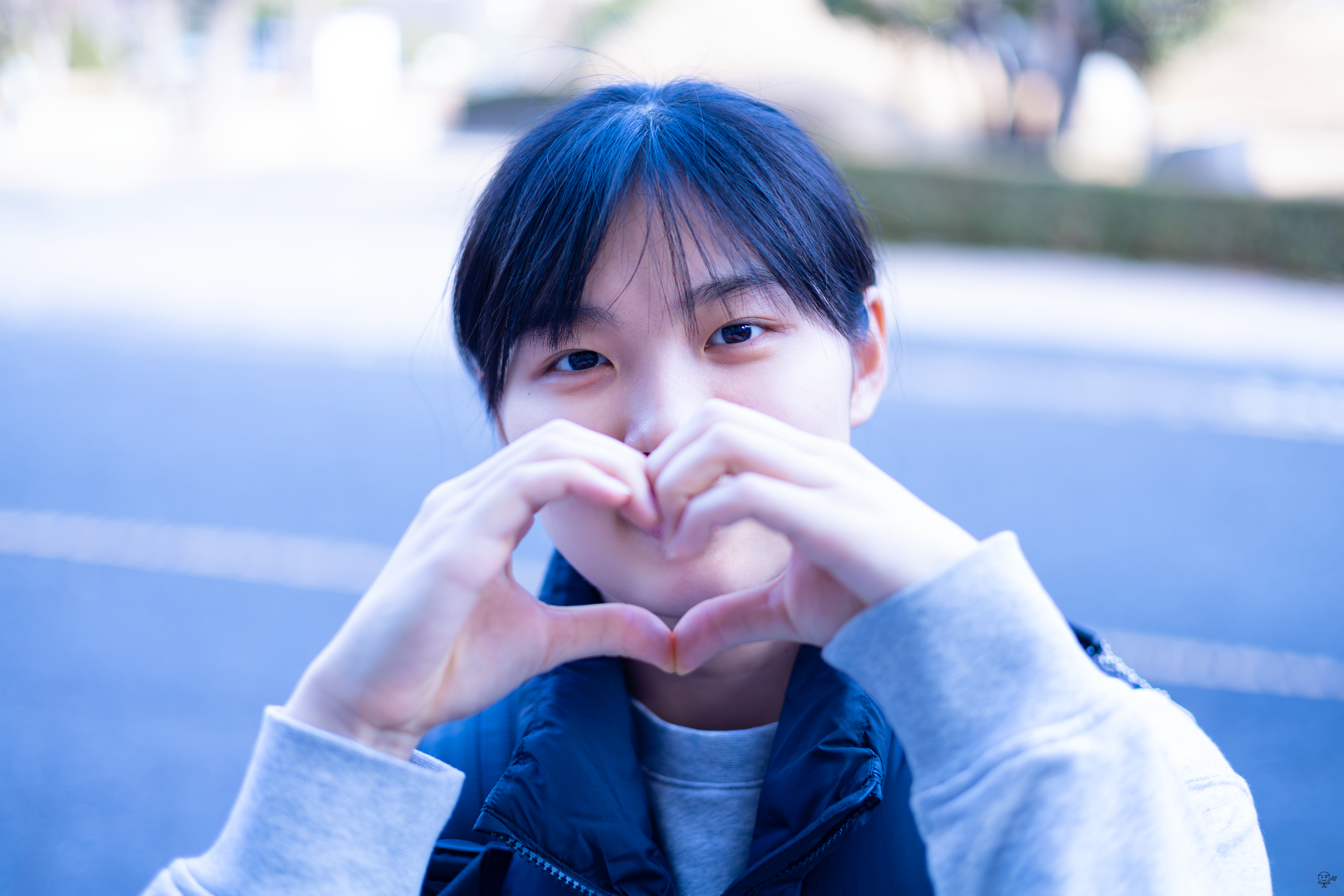 사진