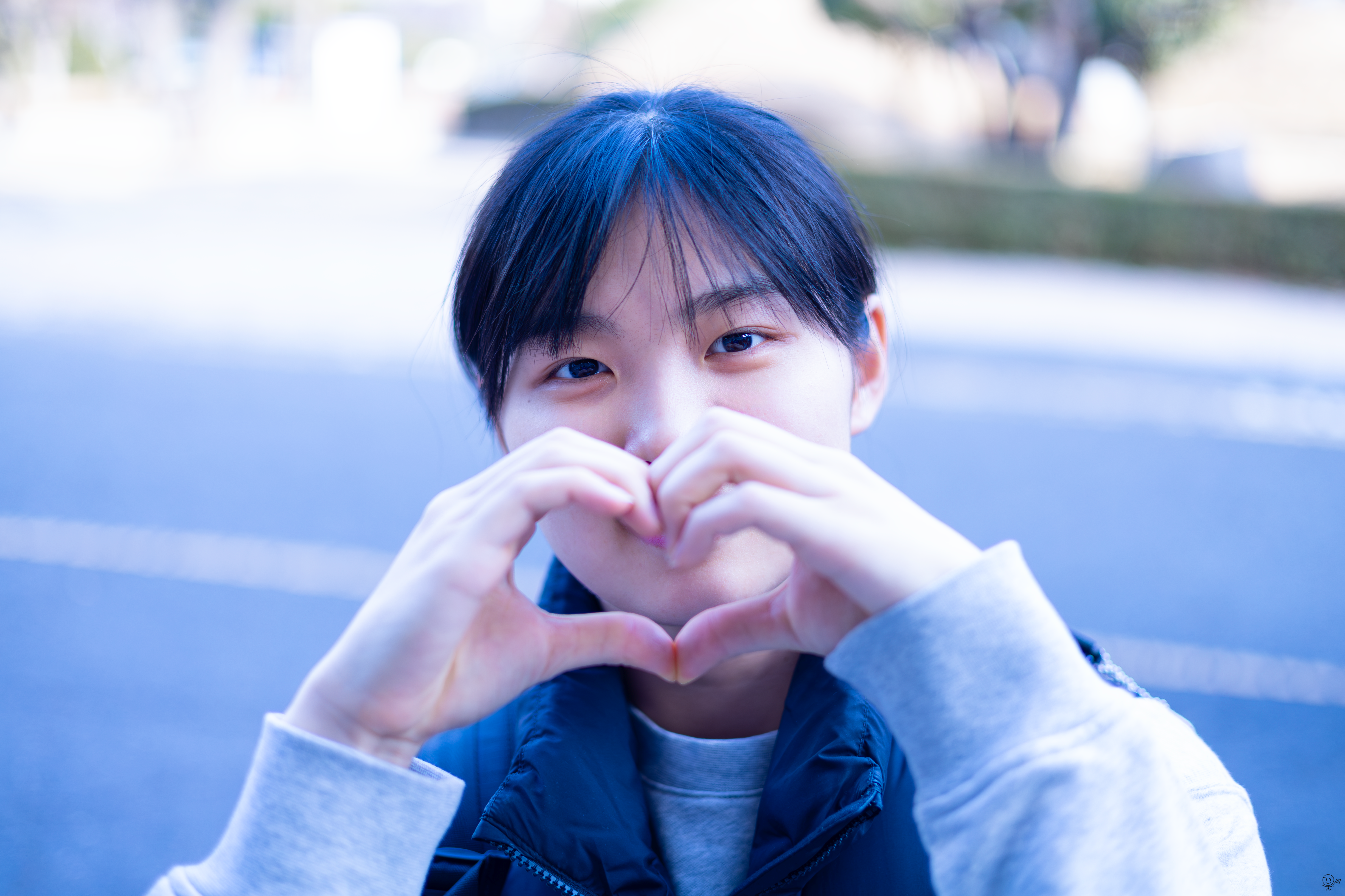 사진