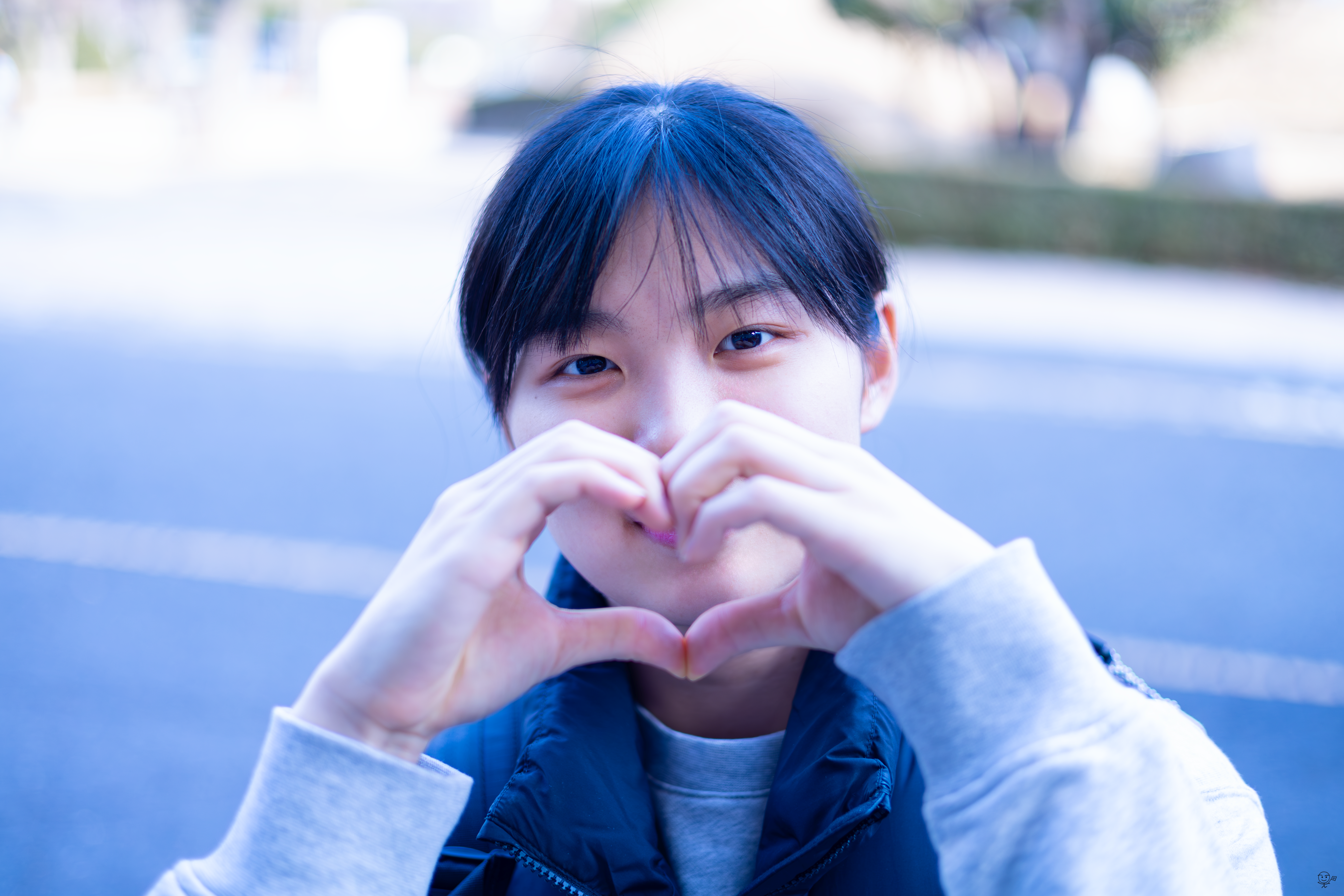 사진