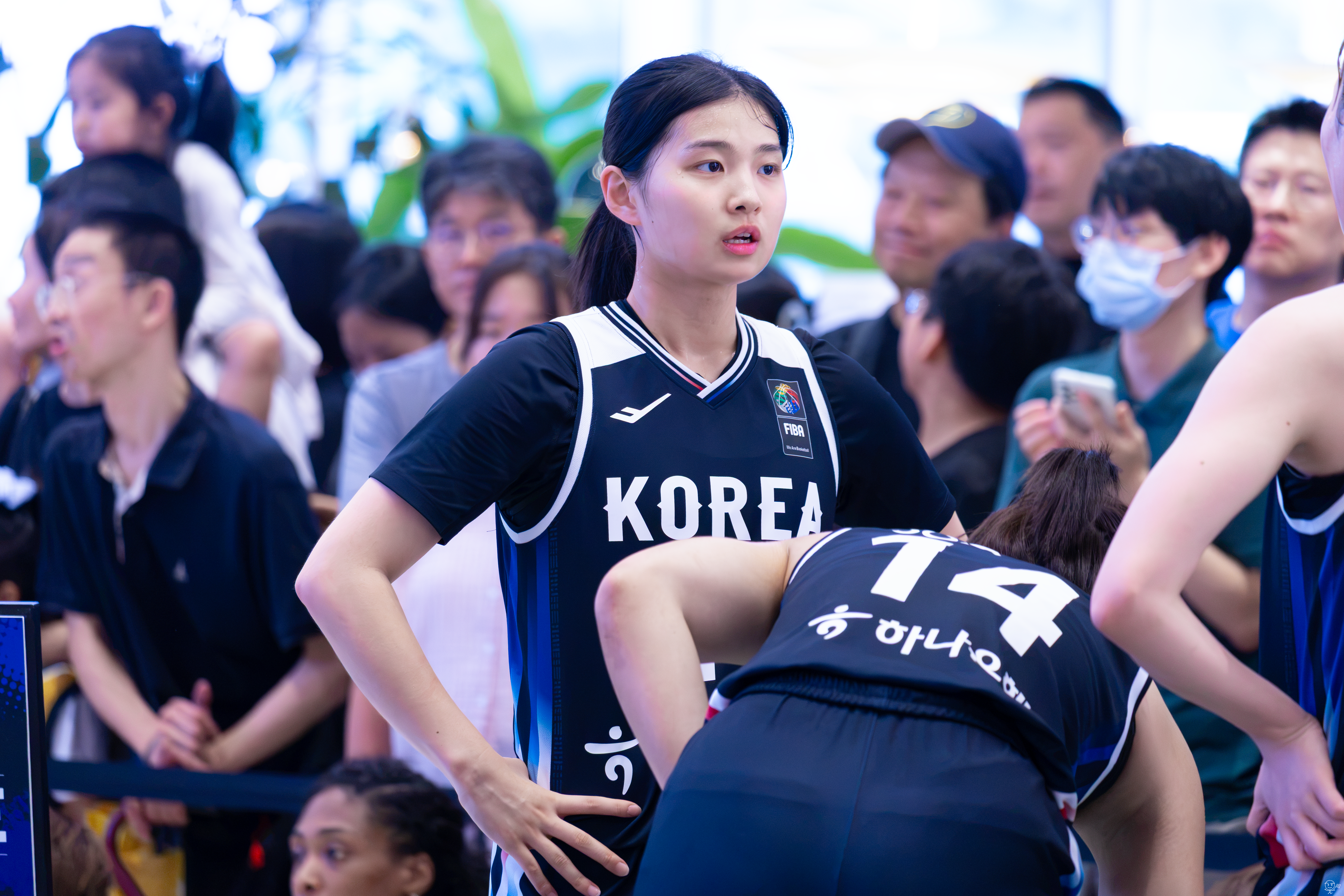 사진