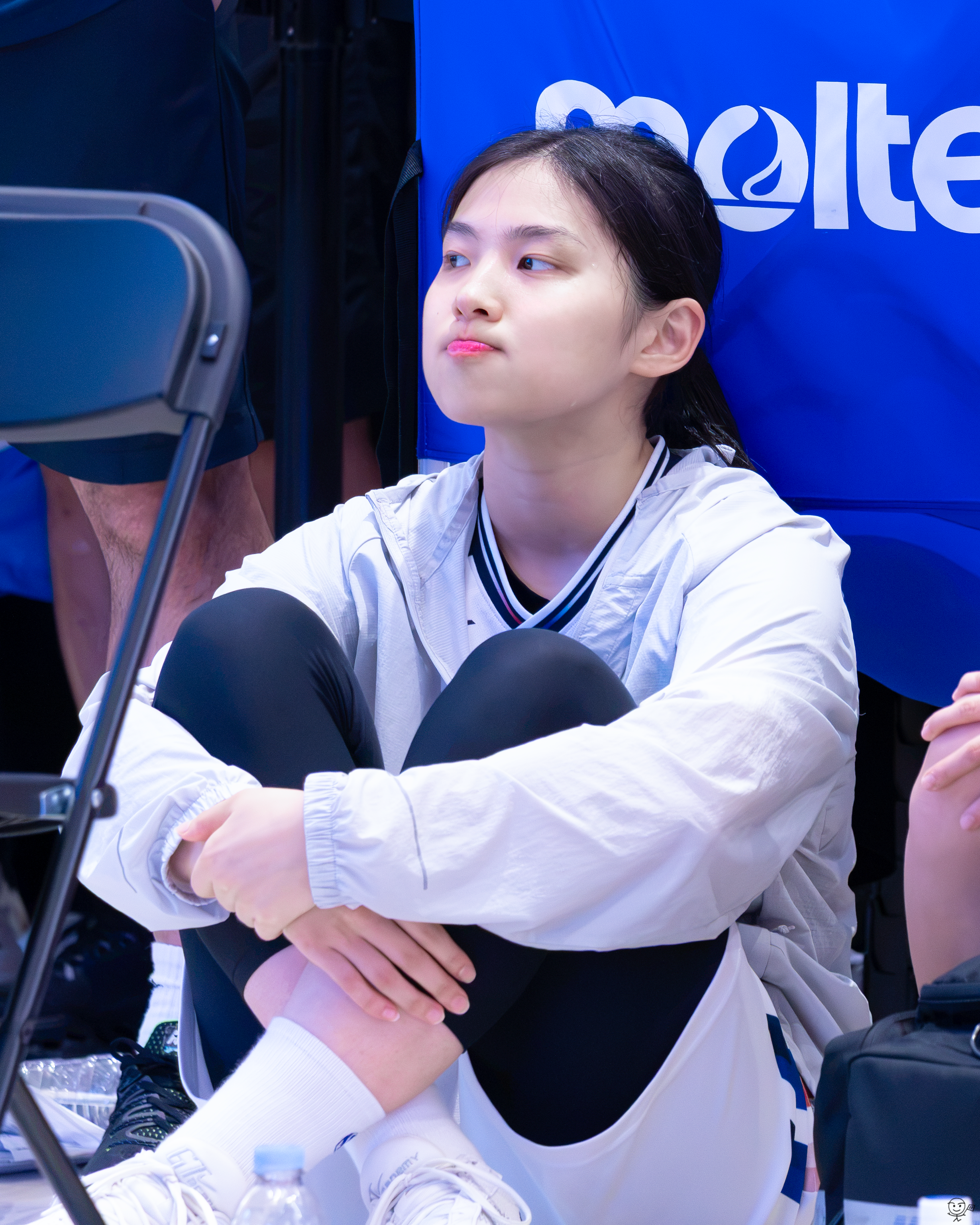 사진
