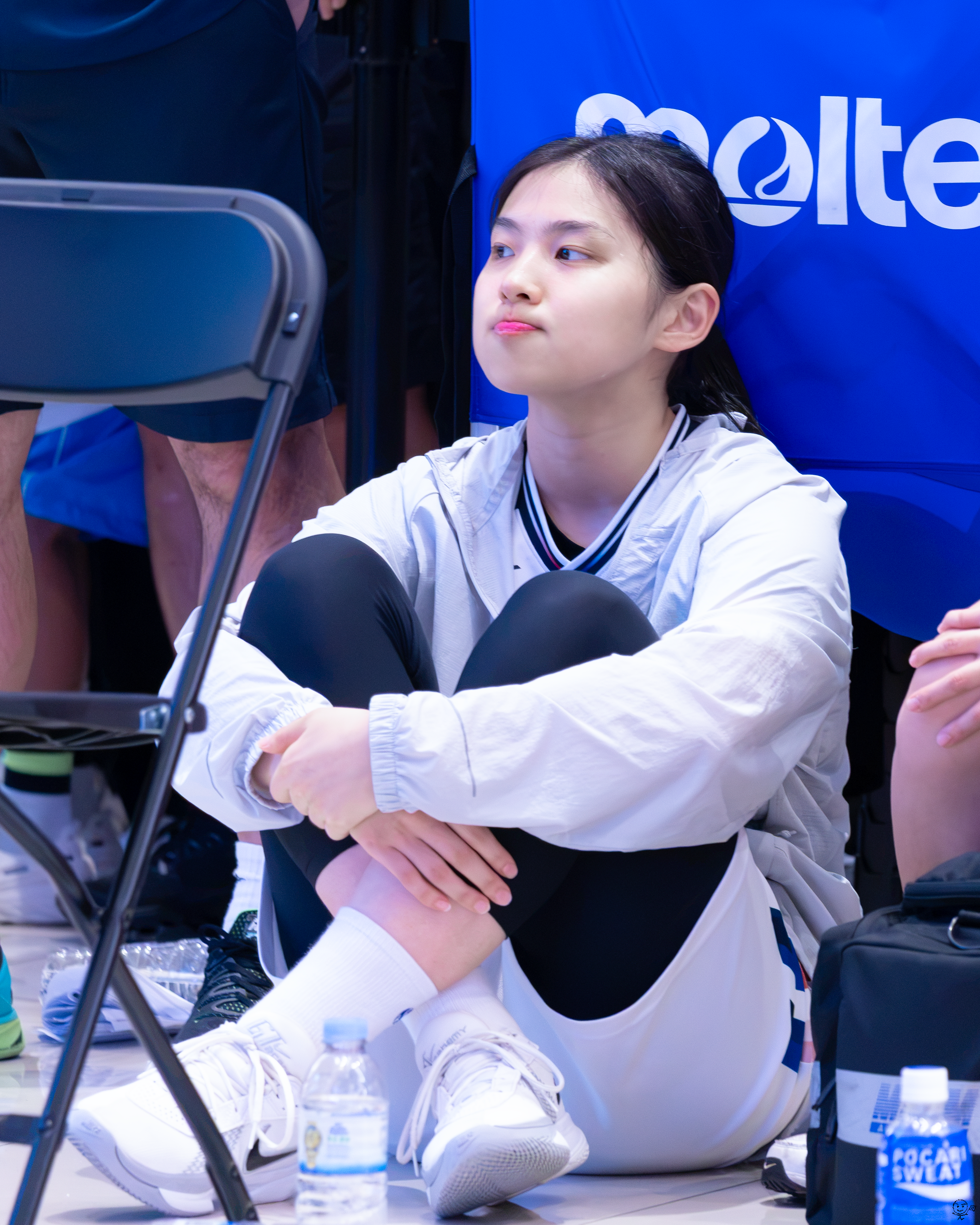 사진