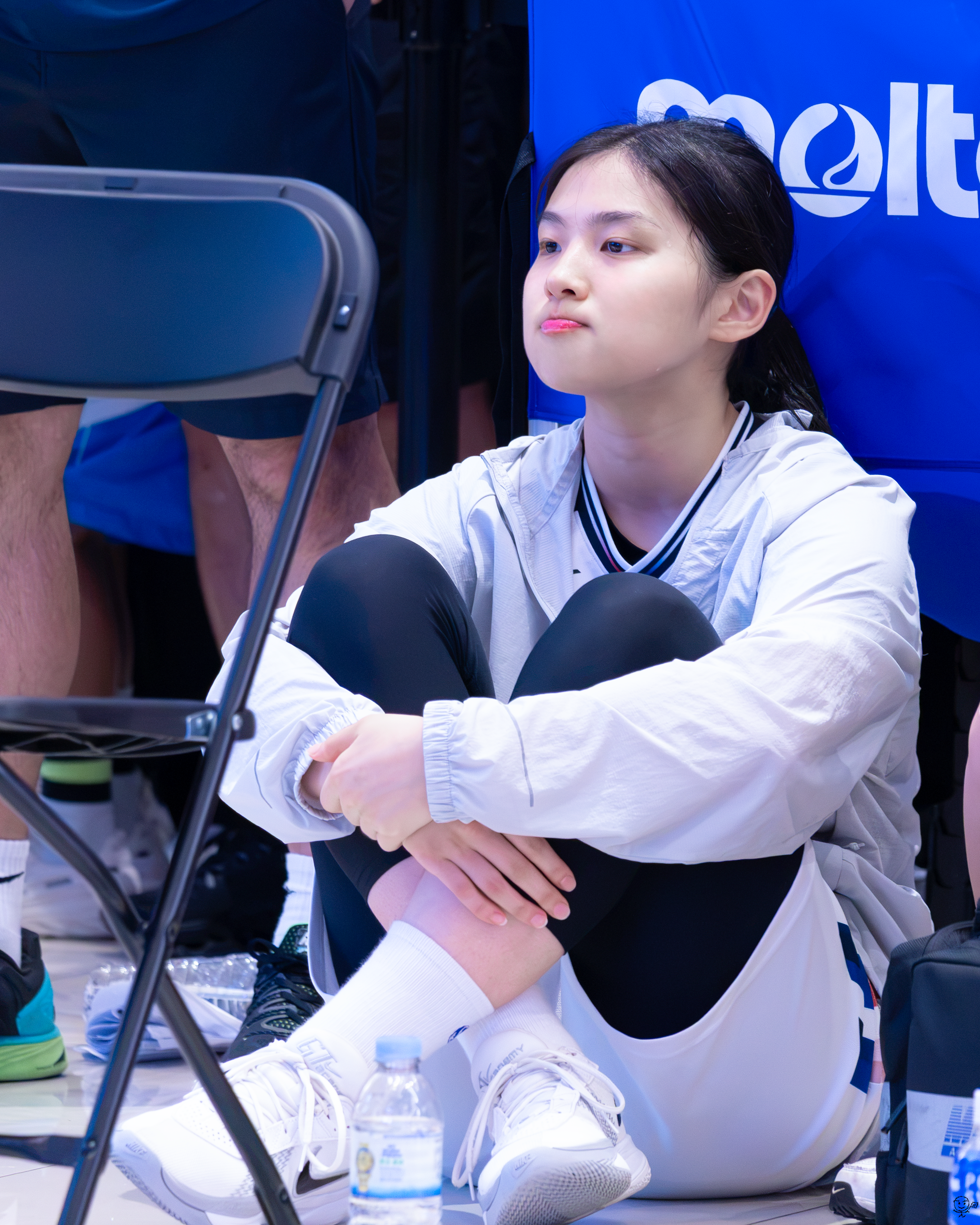 사진