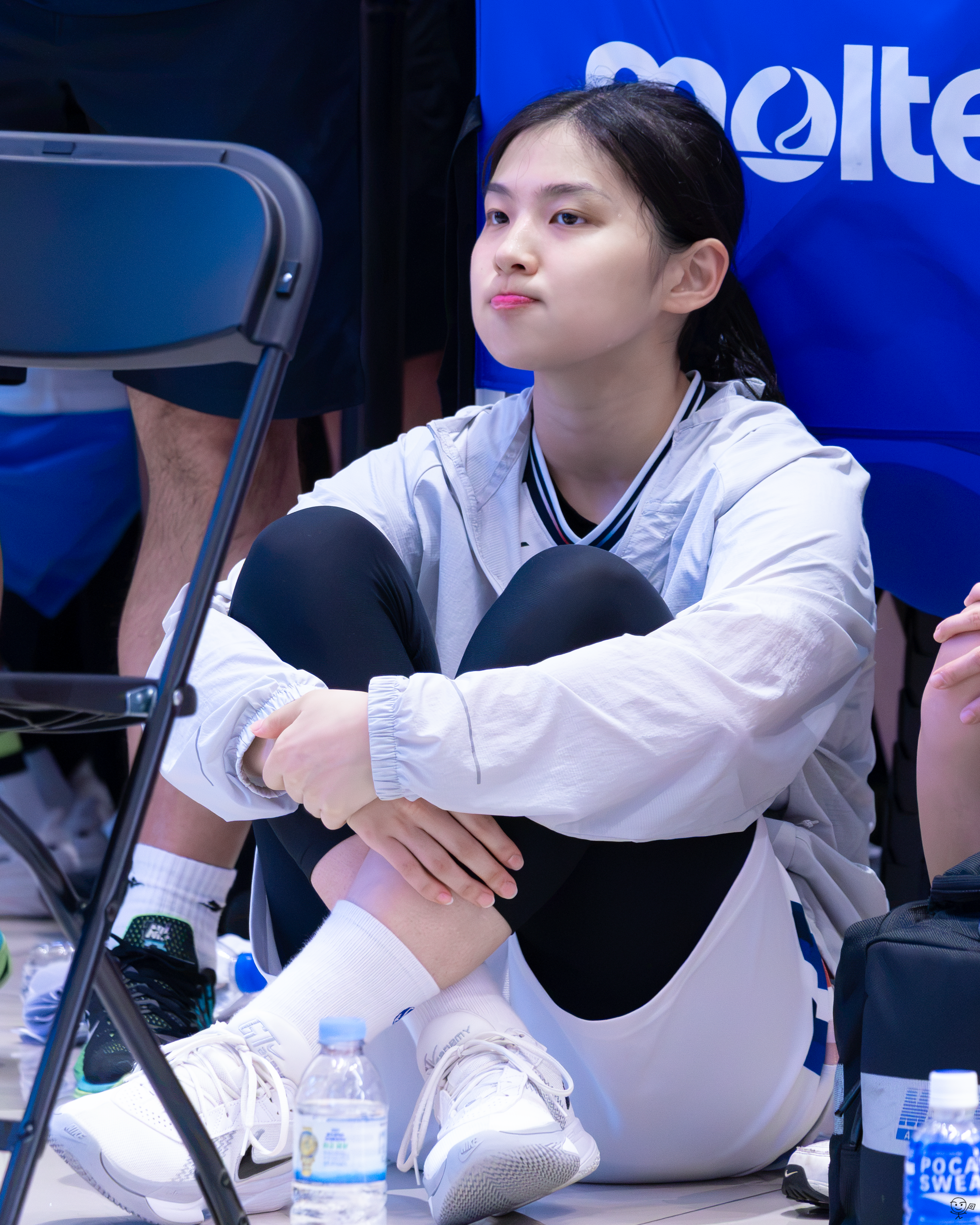 사진
